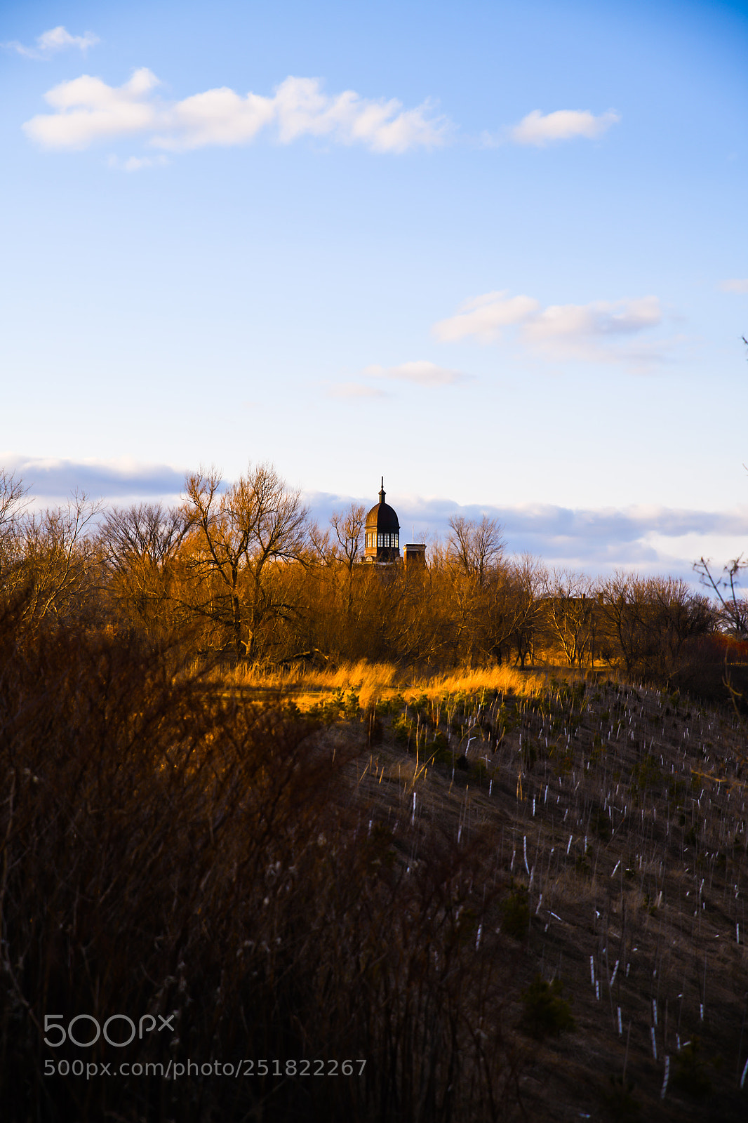 Nikon D850 sample photo. Scarborough bluffs park photography