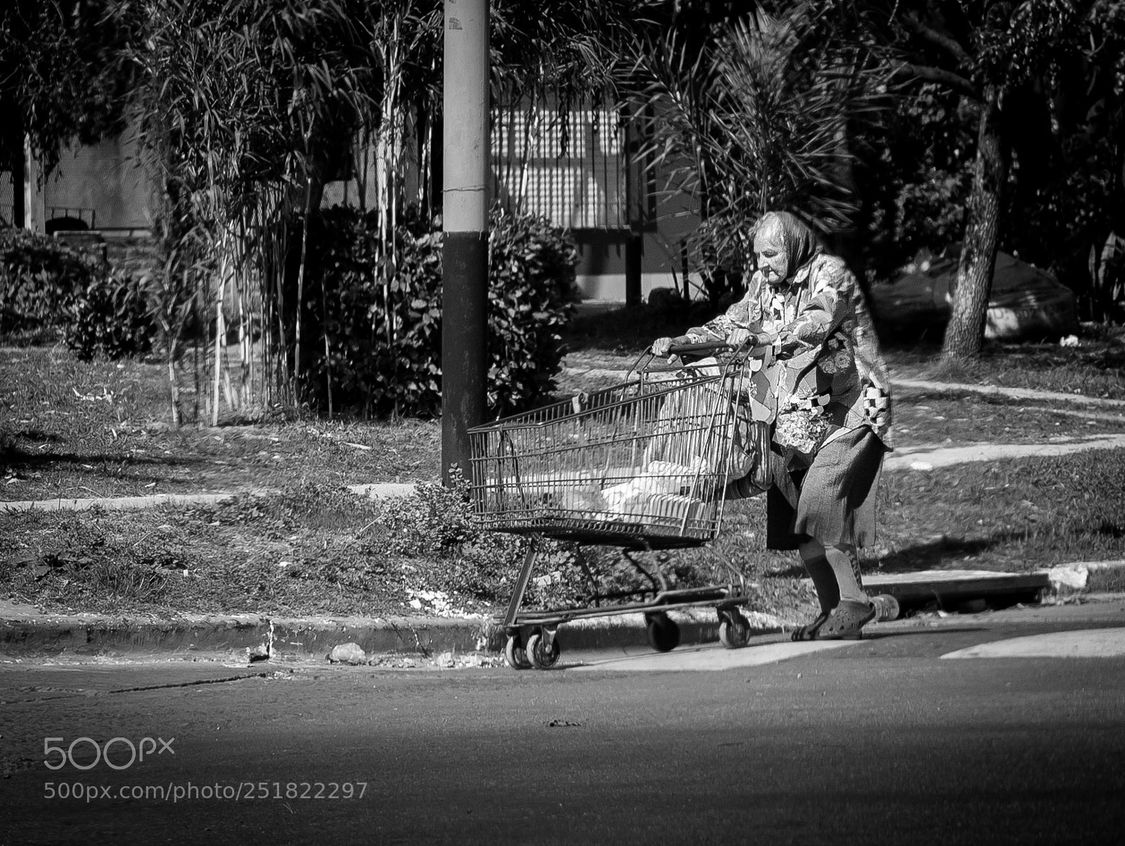 Nikon D610 sample photo. Old woman photography