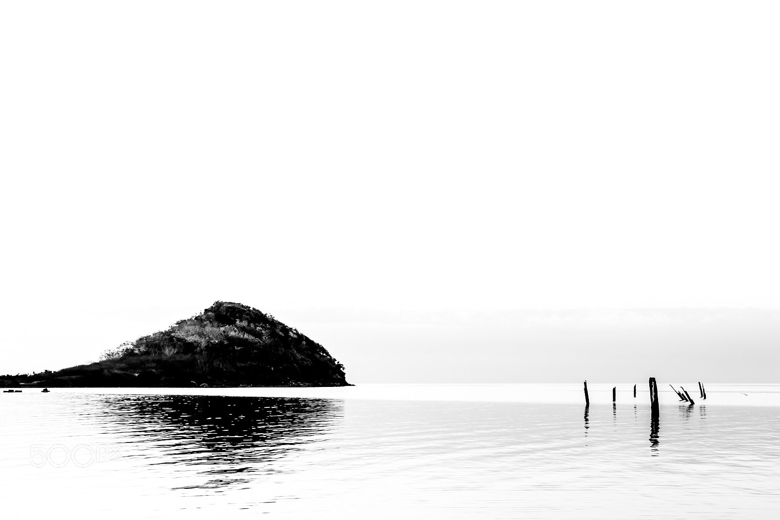 Nikon D5300 sample photo. Tip of the arrow photography