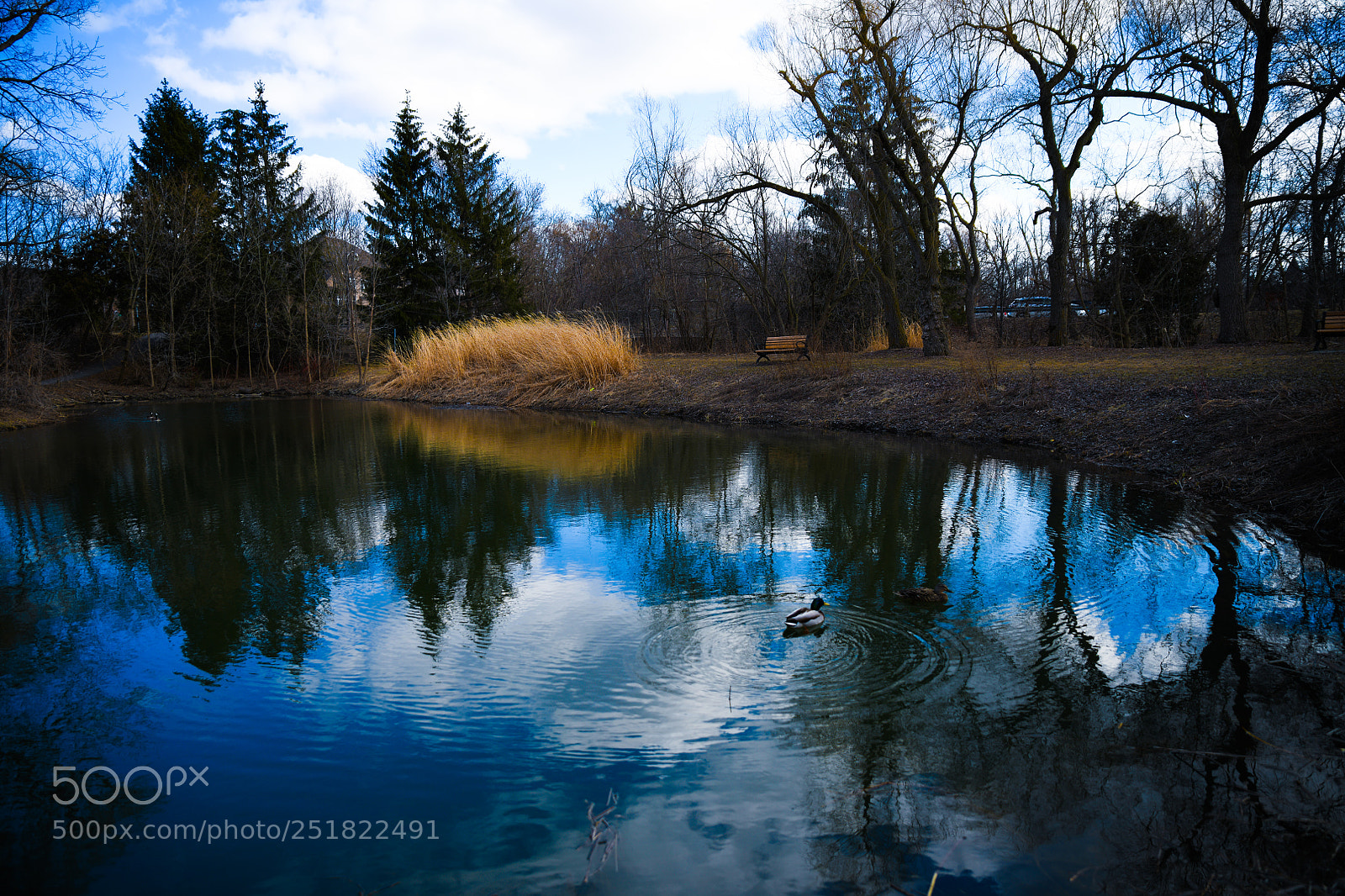 Nikon D850 sample photo. Lake at unionville photography