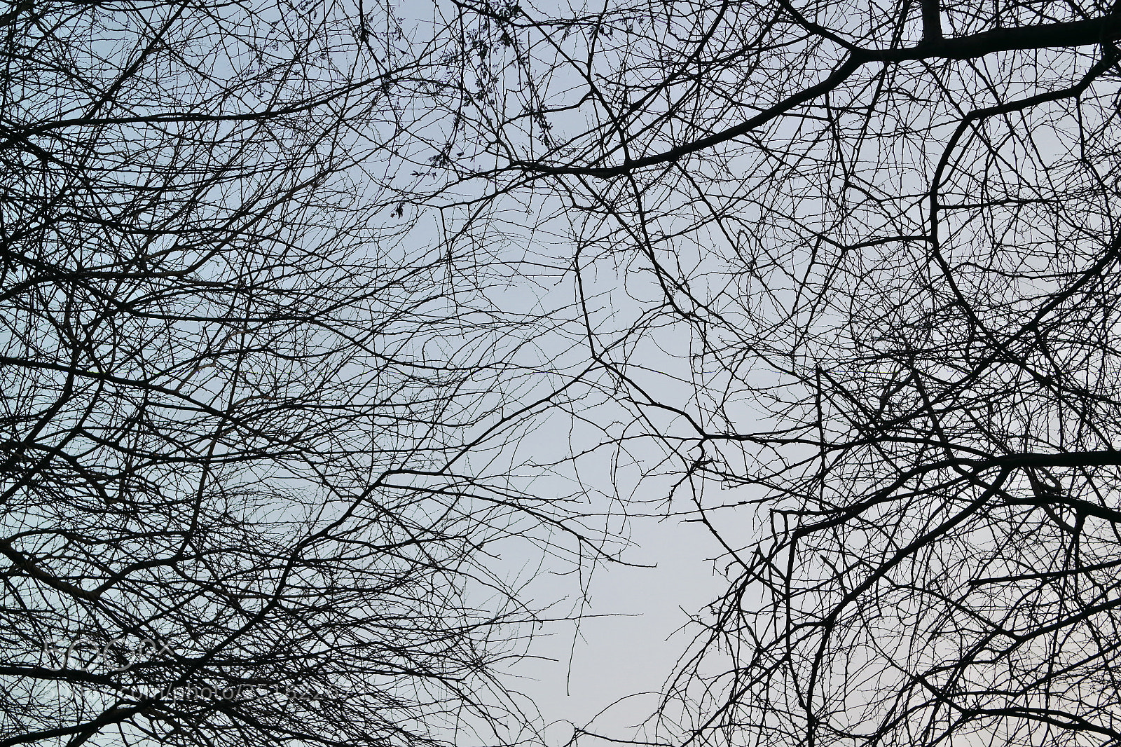 Samsung NX2000 sample photo. Summer at belthur photography