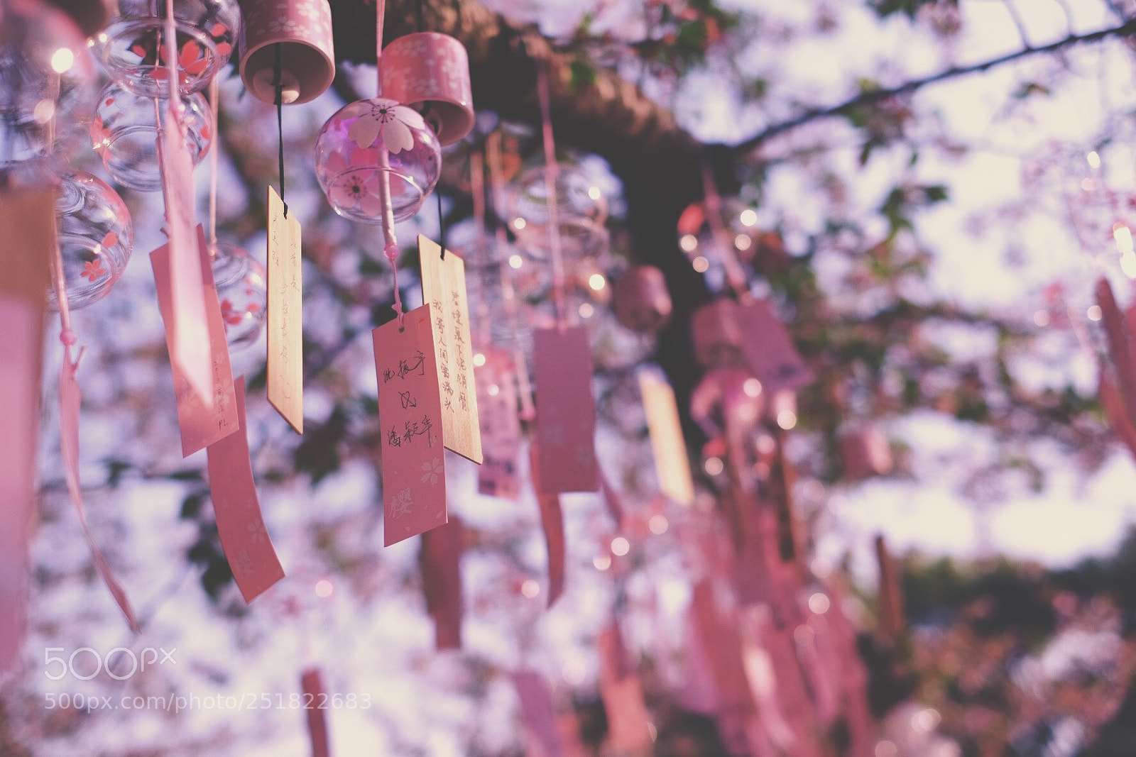 Fujifilm X-T10 sample photo. Untitled photography