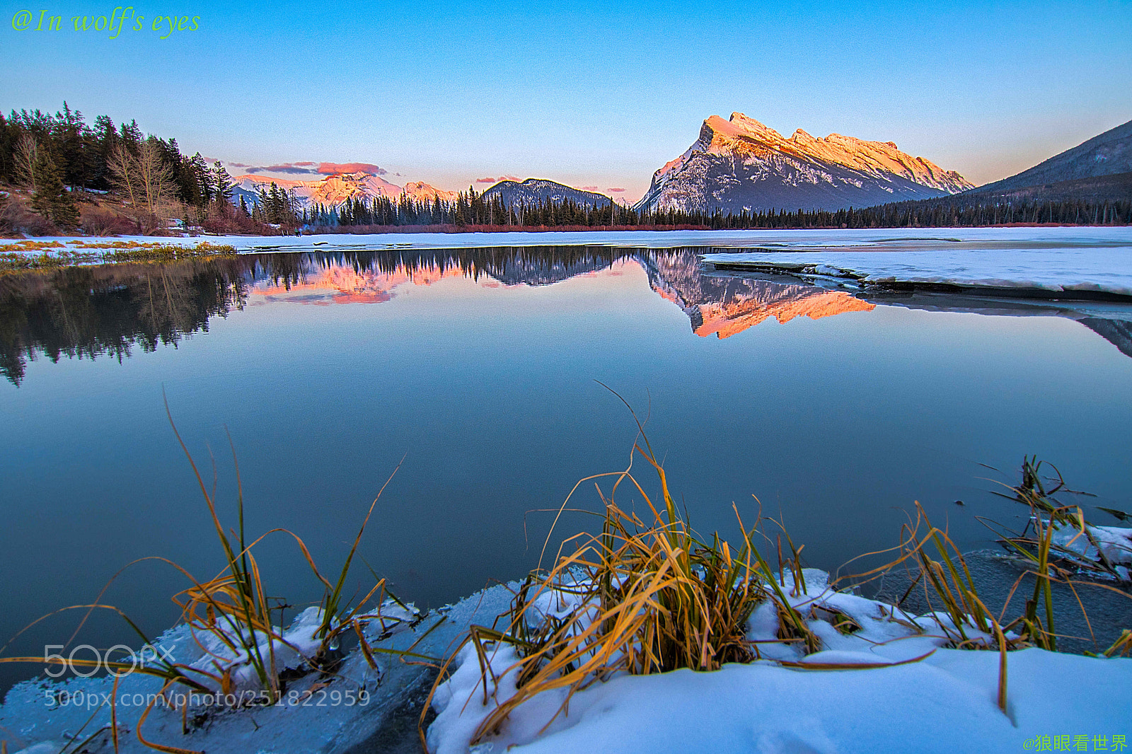 Nikon D500 sample photo. Dawn, canada photography