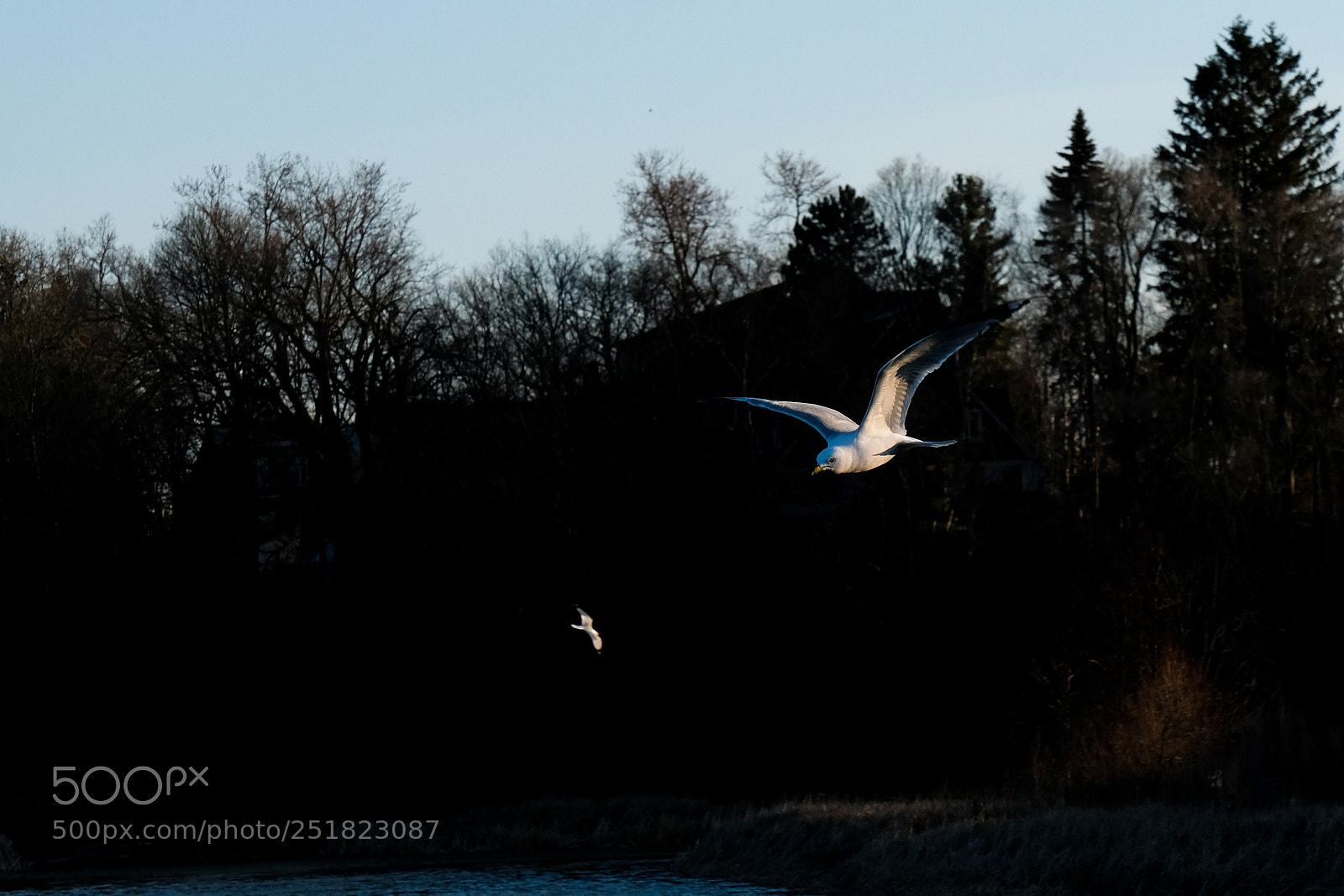 Fujifilm X-T2 sample photo. Dark photography