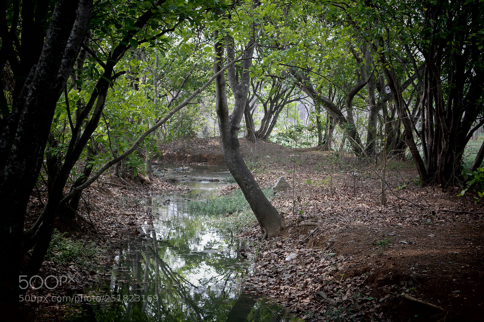 Samsung NX2000 sample photo. Summer at belthur photography