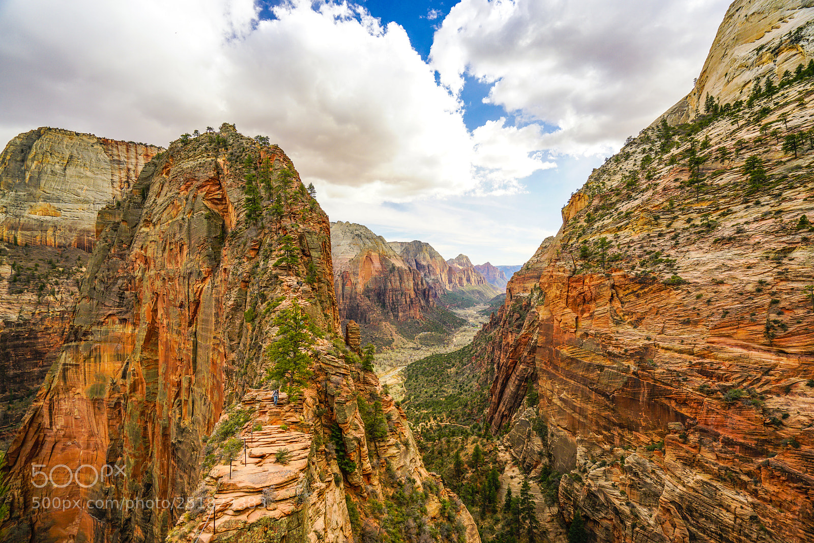 Sony a7R II sample photo. Angels landing - zion photography
