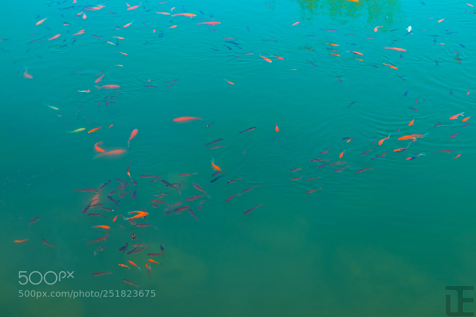 Canon EOS 77D (EOS 9000D / EOS 770D) sample photo. Untitled photography