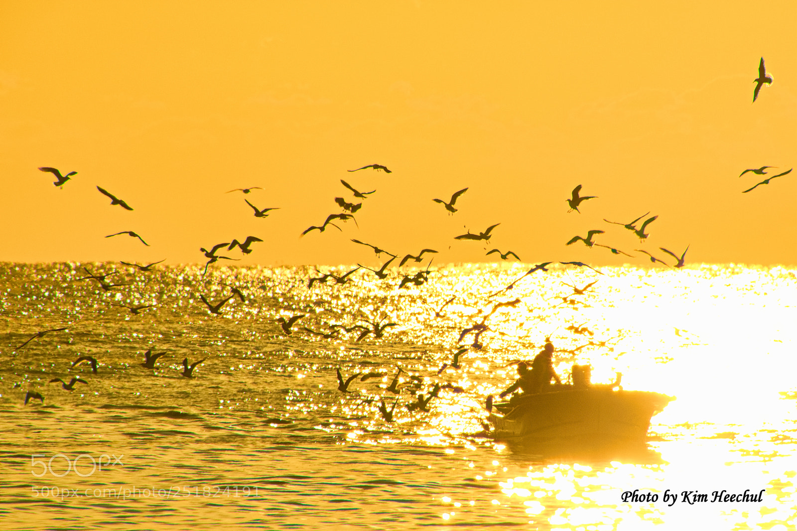 Nikon D5500 sample photo. Fishing boat and seagull photography
