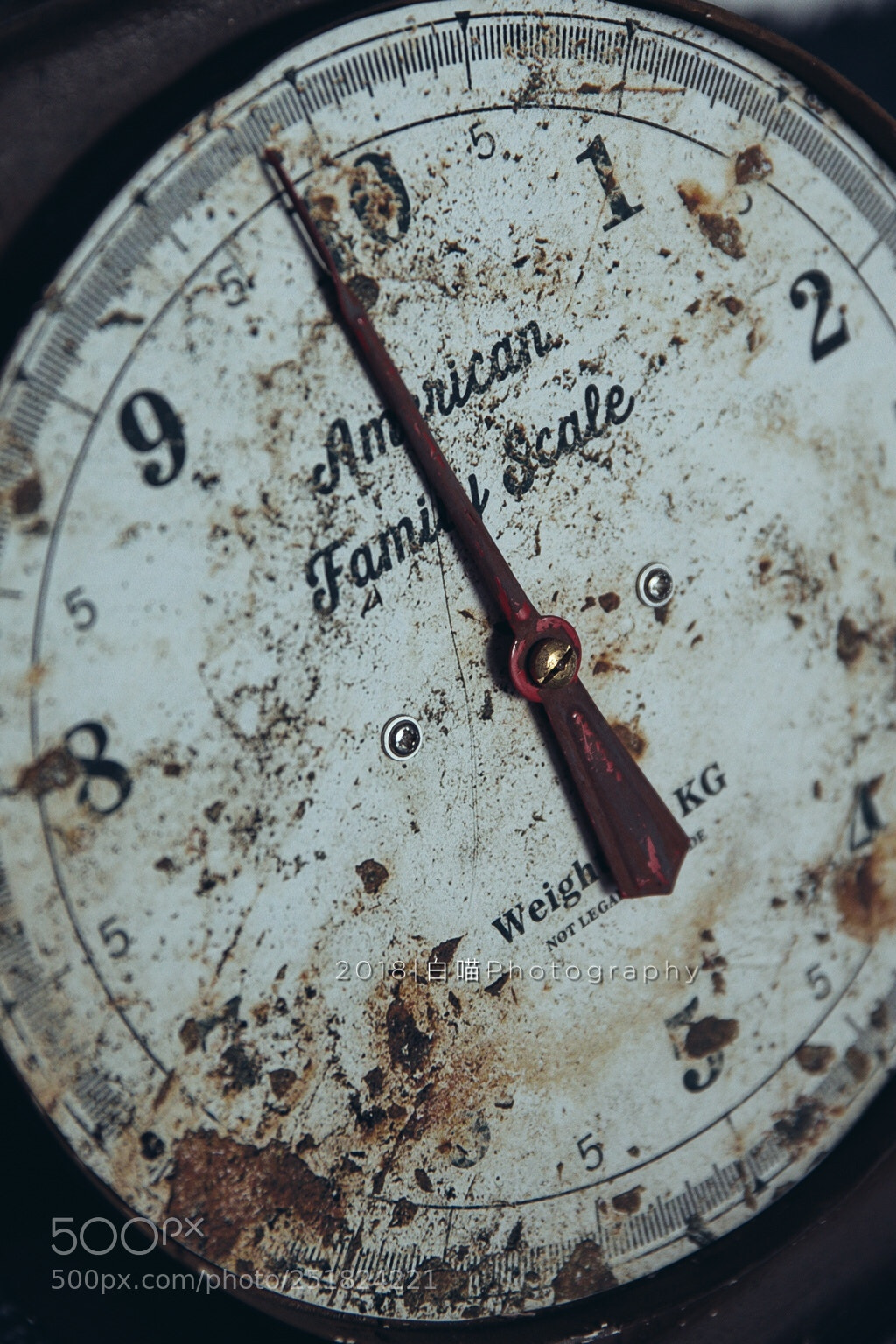 Canon EOS 5D Mark IV sample photo. Still life photography
