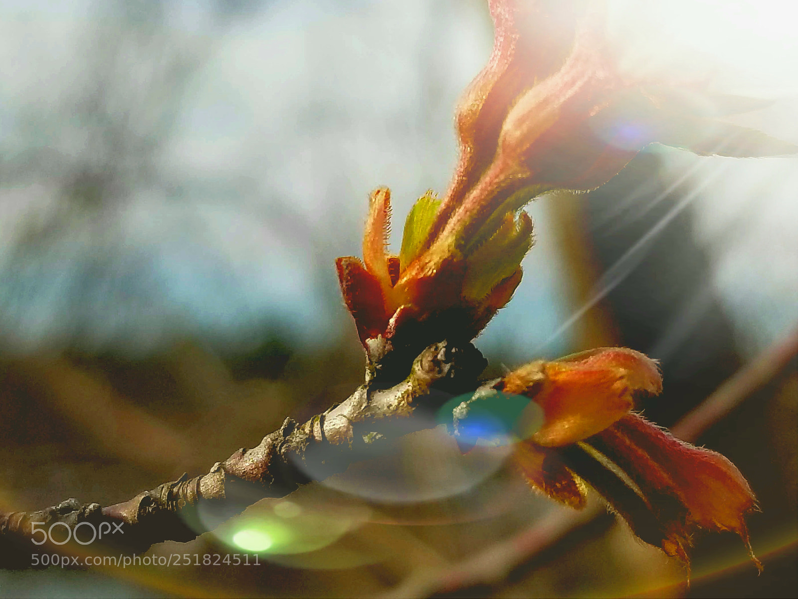 Samsung Galaxy S8 sample photo. Spring photography