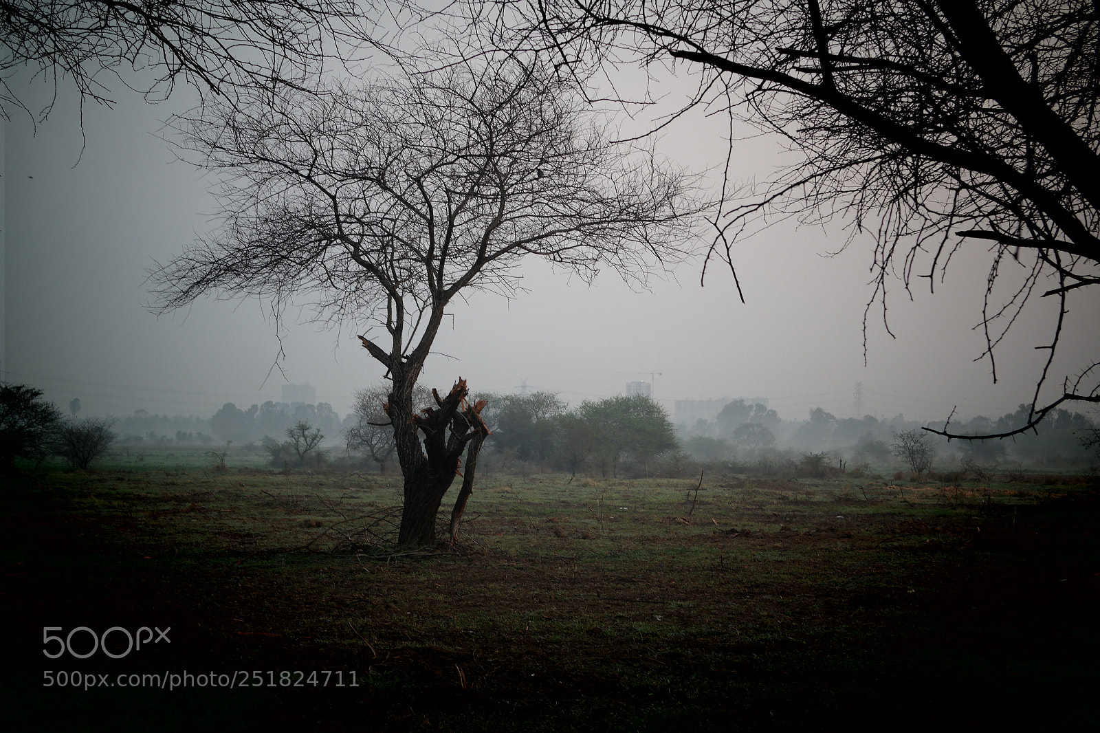 Samsung NX2000 sample photo. Morning ride season 2 photography