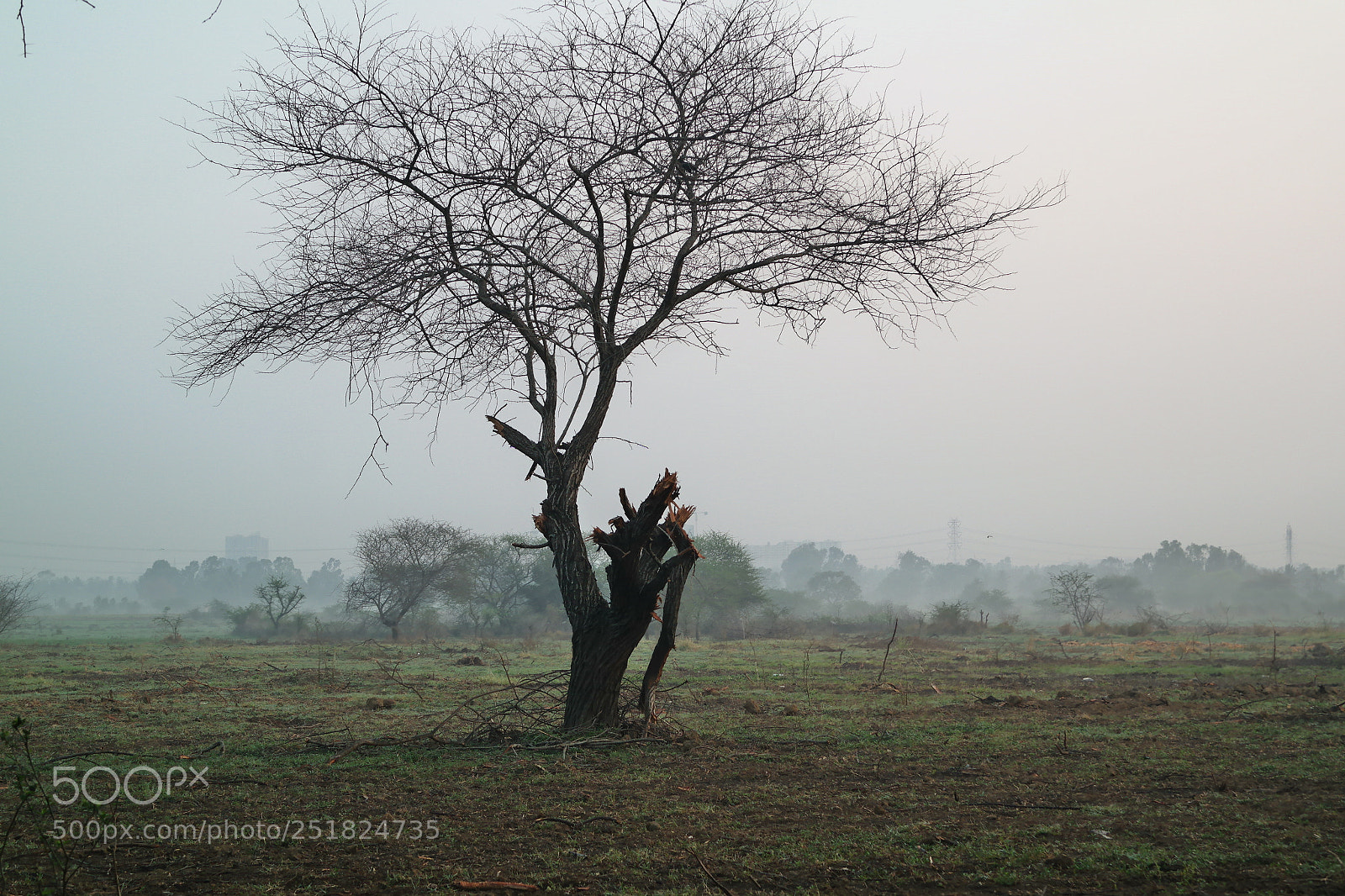 Samsung NX2000 sample photo. Morning ride season 2 photography