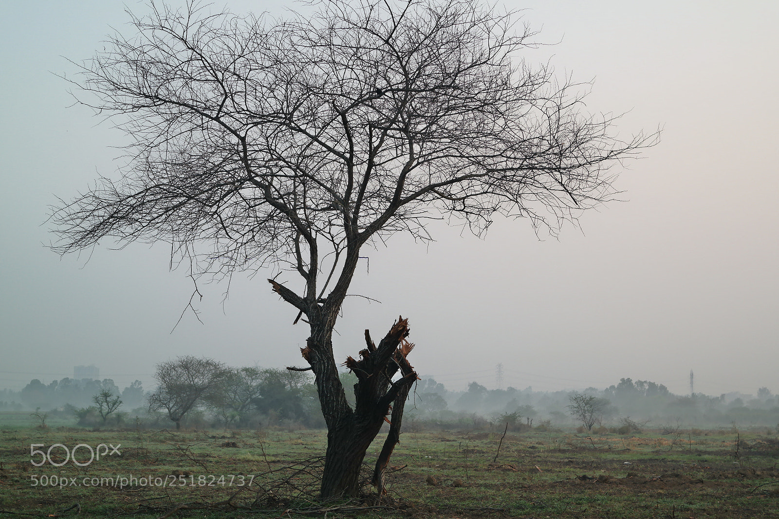 Samsung NX2000 sample photo. Morning ride season 2 photography