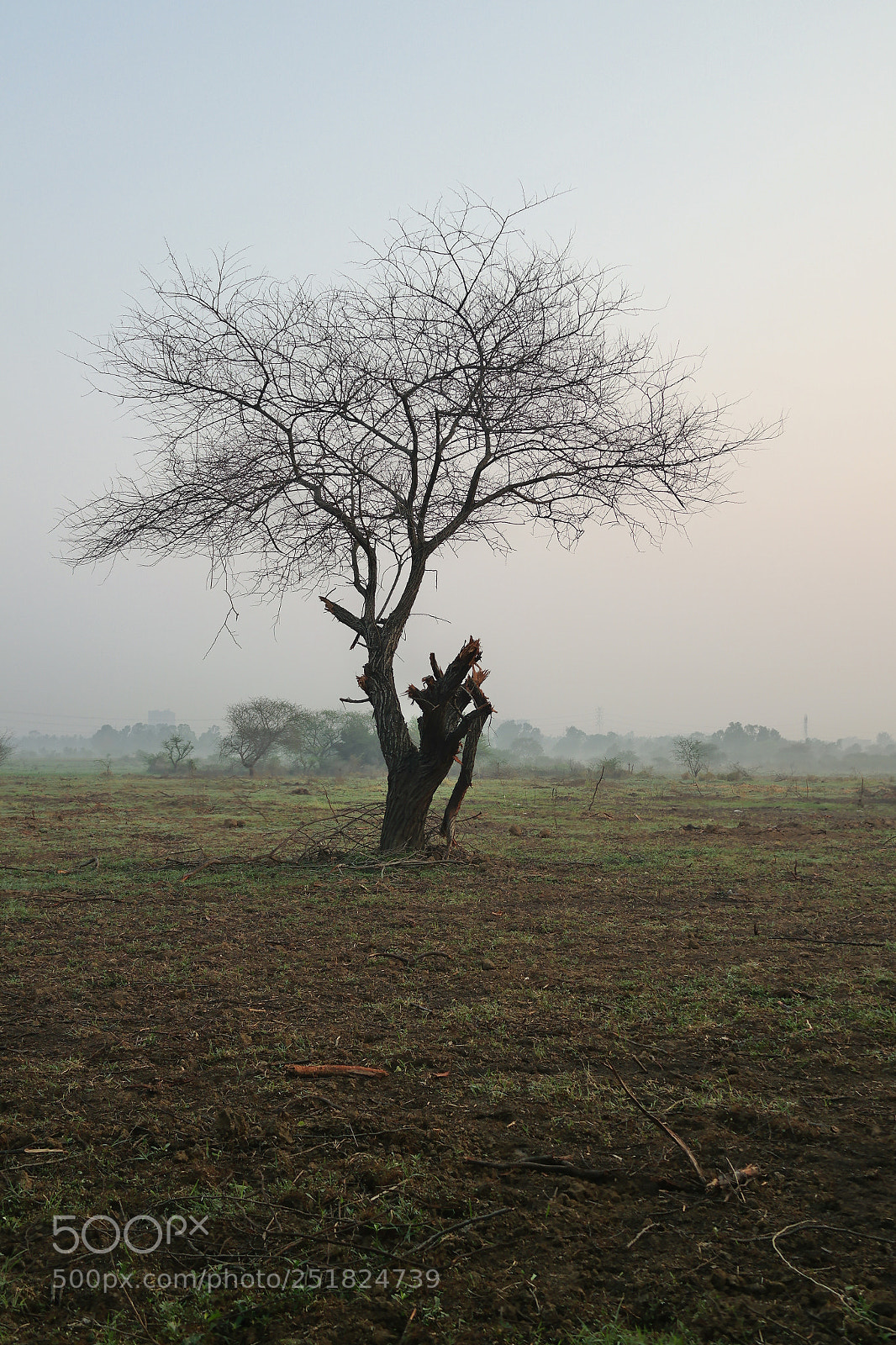 Samsung NX2000 sample photo. Morning ride season 2 photography