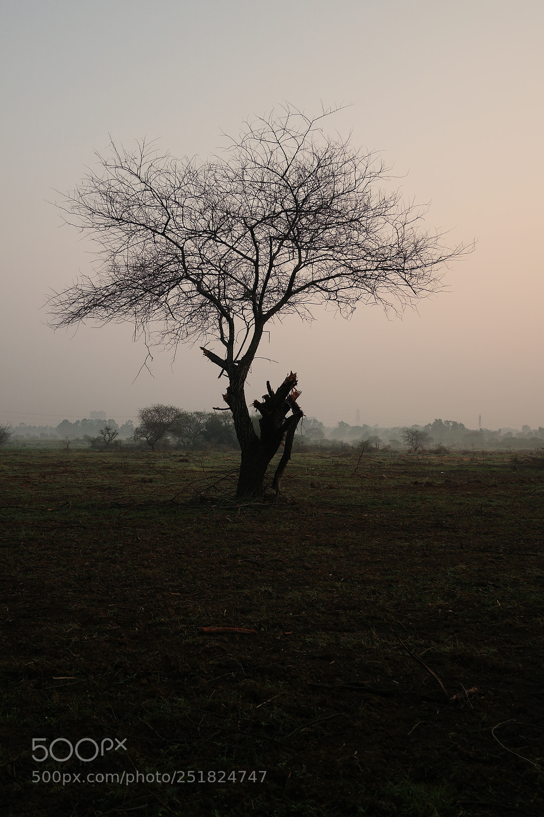 Samsung NX2000 sample photo. Morning ride season 2 photography