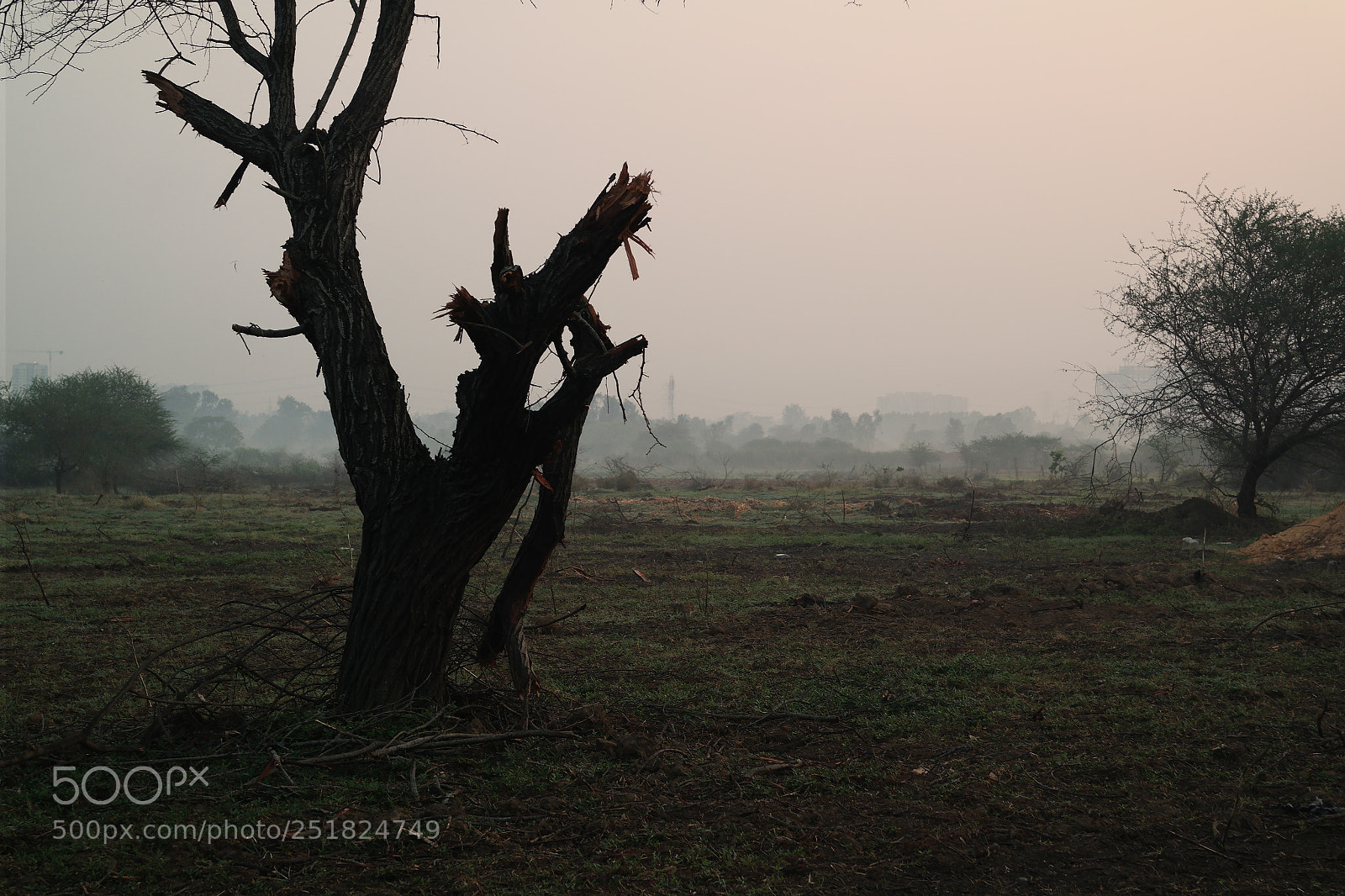 Samsung NX2000 sample photo. Morning ride season 2 photography