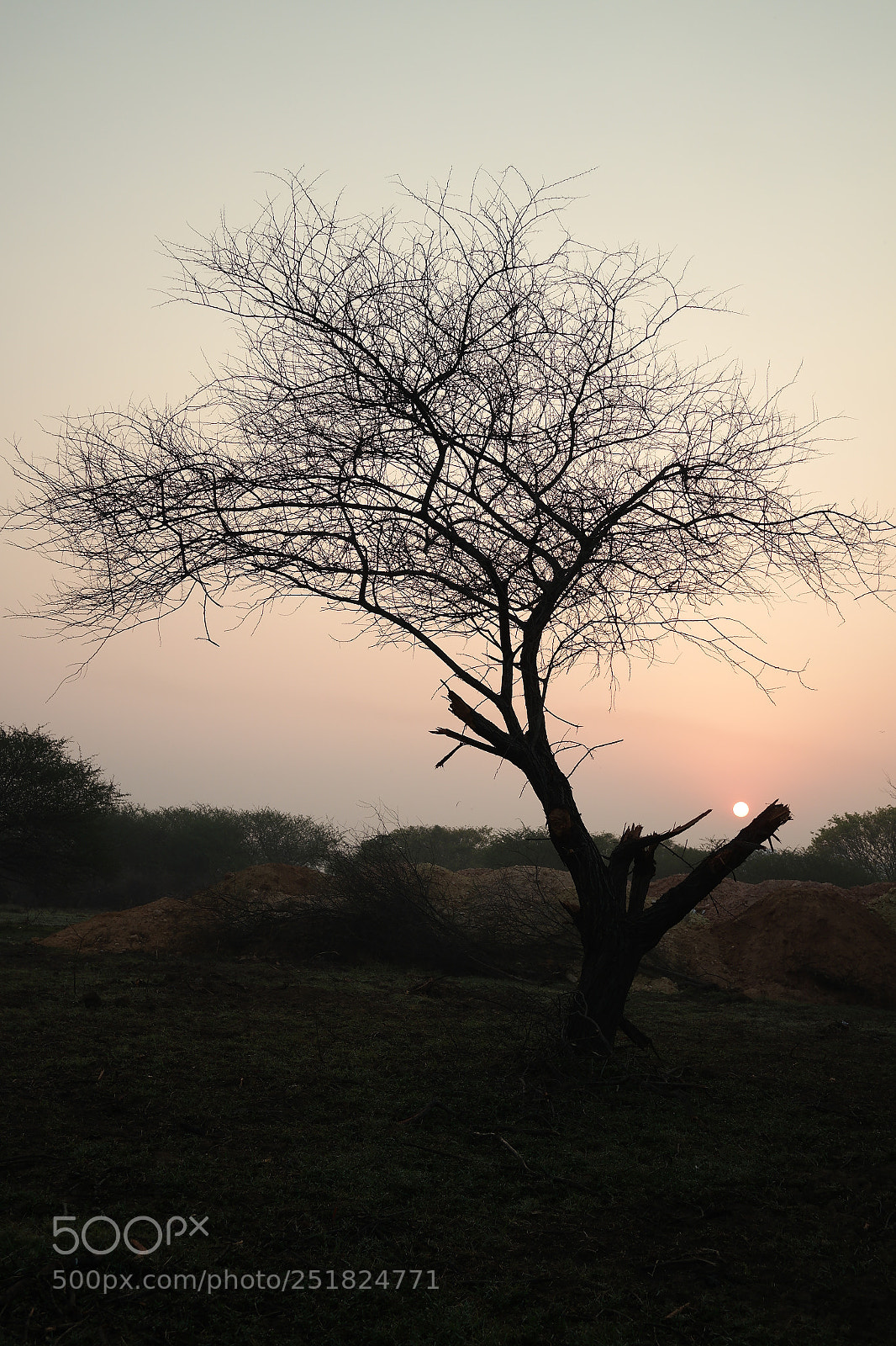 Samsung NX2000 sample photo. Morning ride season 2 photography