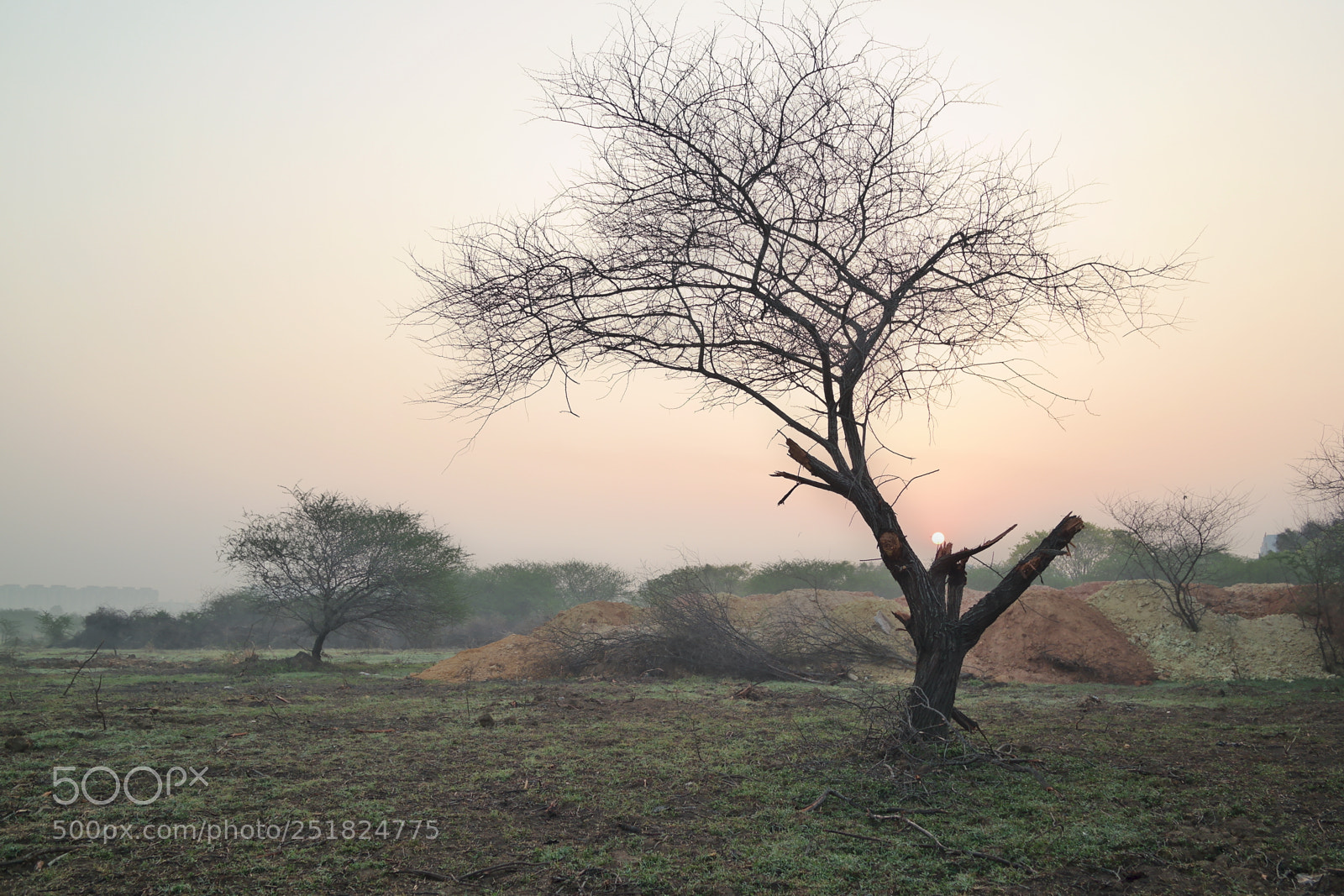 Samsung NX2000 sample photo. Morning ride season 2 photography