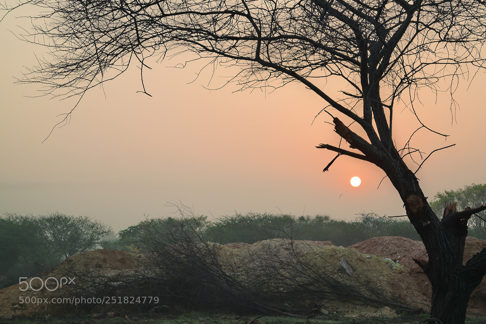Samsung NX2000 sample photo. Morning ride season 2 photography