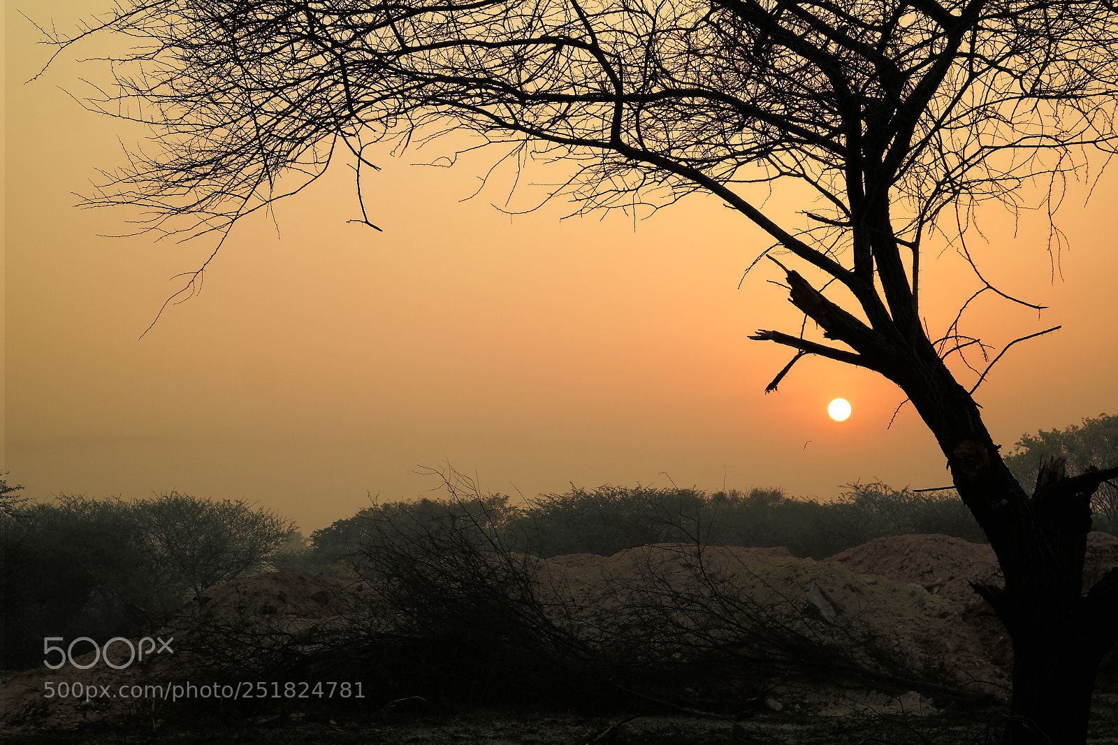 Samsung NX2000 sample photo. Morning ride season 2 photography