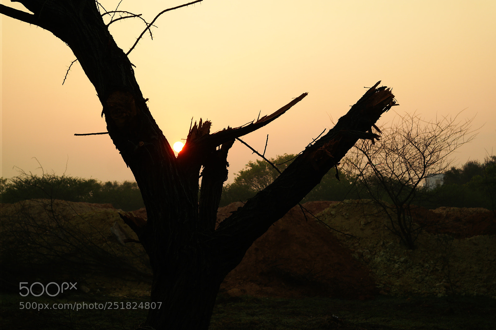Samsung NX2000 sample photo. Morning ride season 2 photography