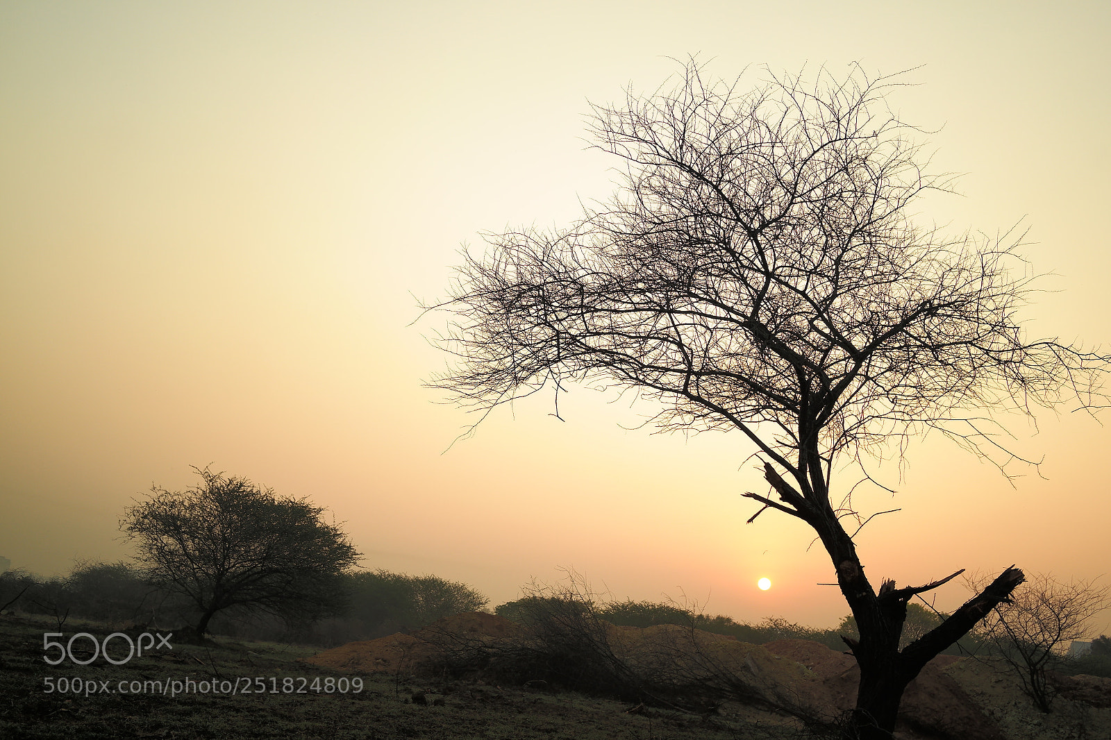 Samsung NX2000 sample photo. Morning ride season 2 photography