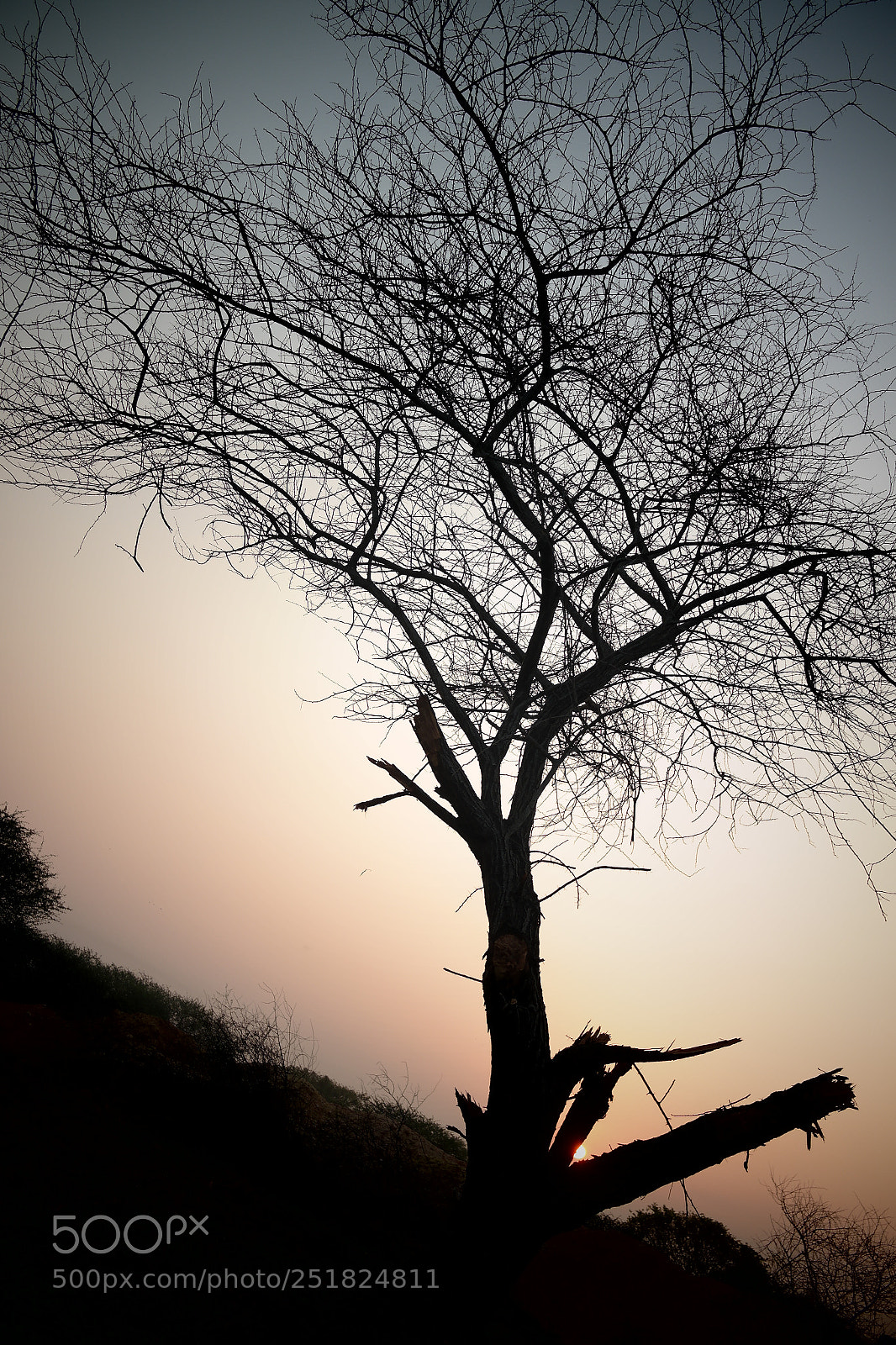 Samsung NX2000 sample photo. Morning ride season 2 photography