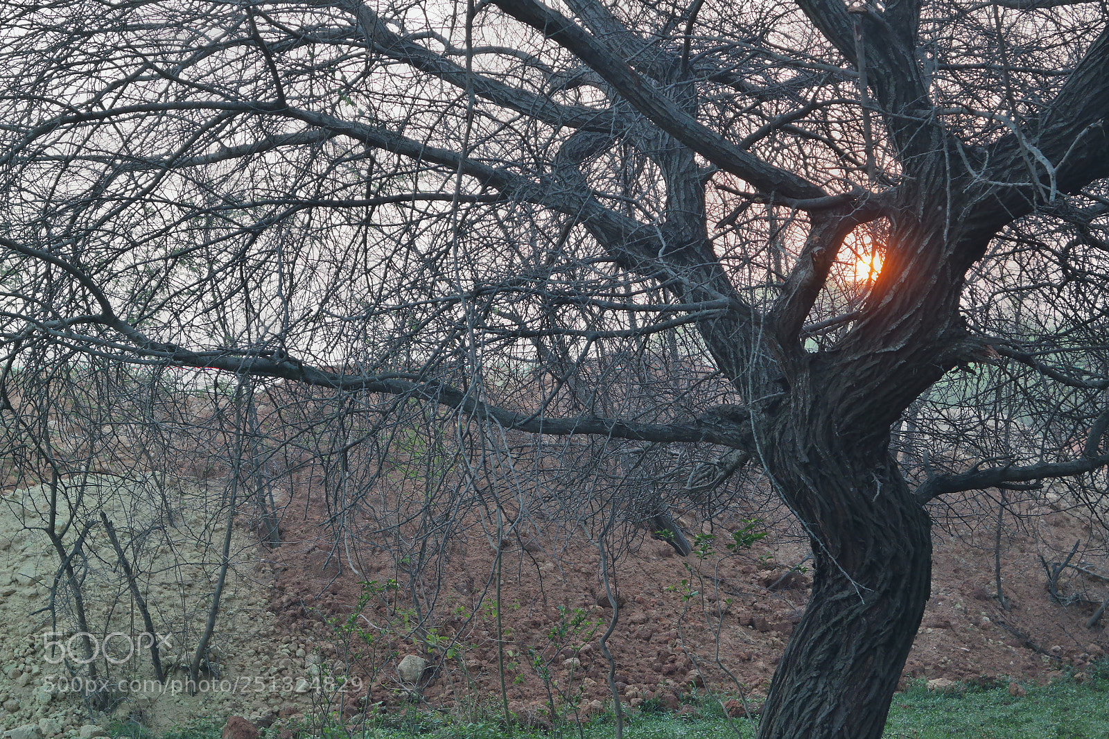 Samsung NX2000 sample photo. Morning ride season 2 photography