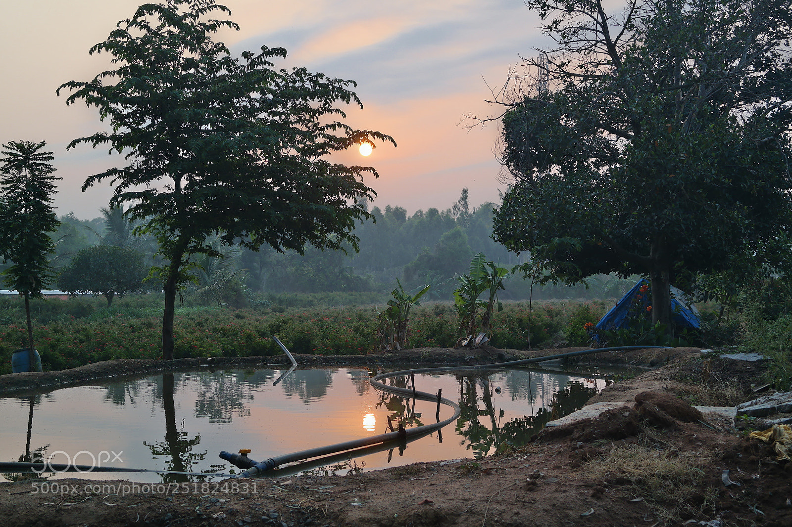Samsung NX2000 sample photo. Morning ride season 2 photography