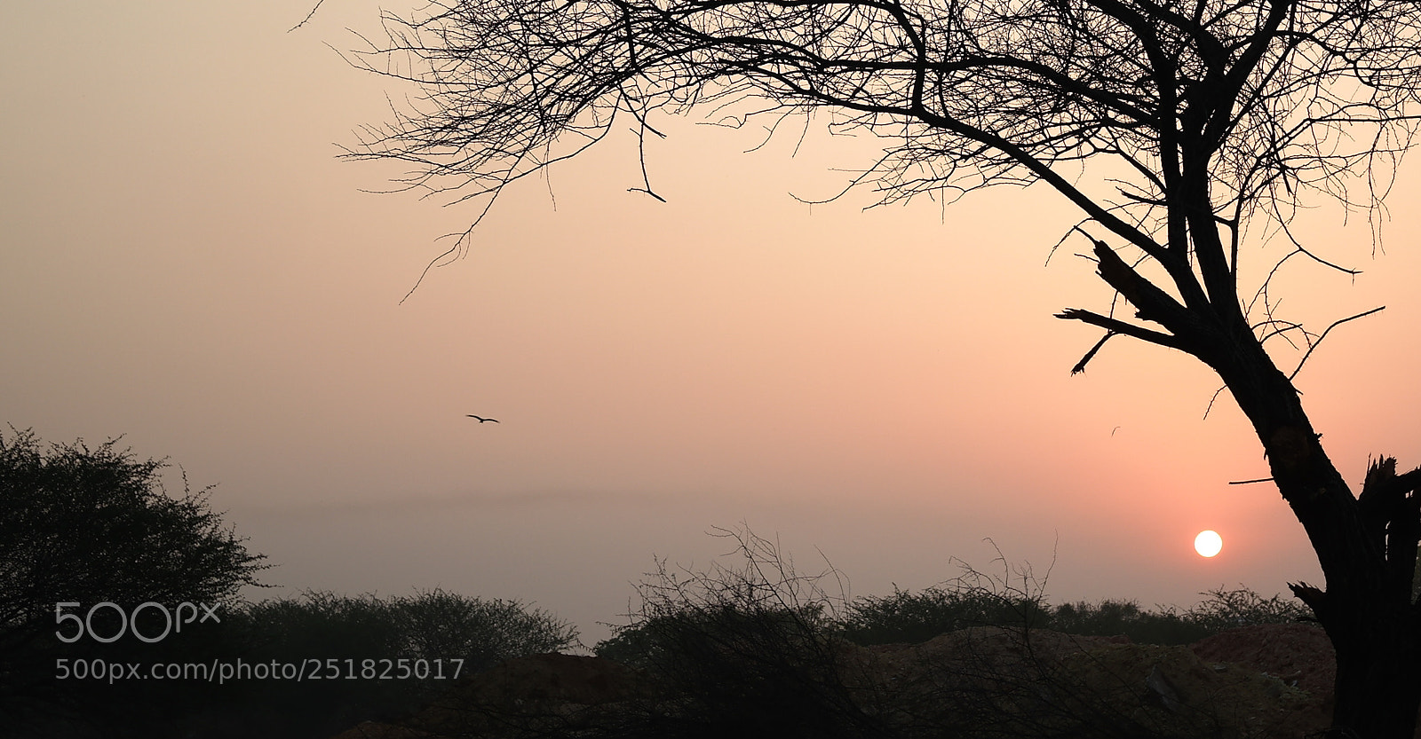 Samsung NX2000 sample photo. Morning ride season 2 photography