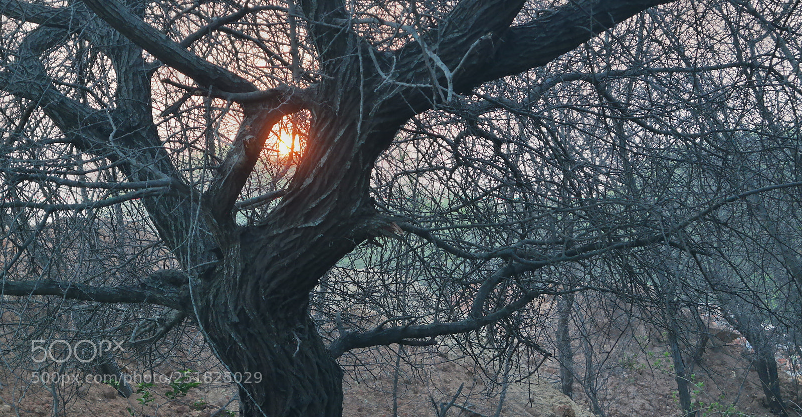 Samsung NX2000 sample photo. Morning ride season 2 photography