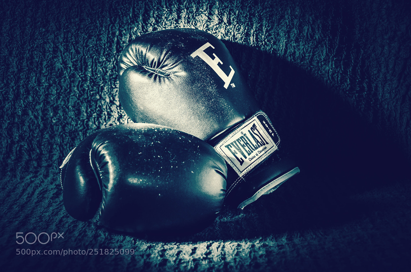 Nikon D7000 sample photo. Rest day photography