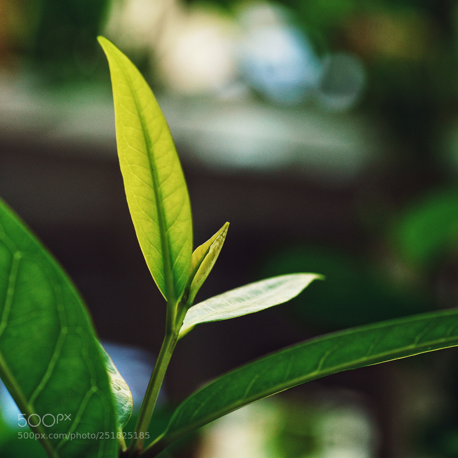 Nikon D7100 sample photo. Untitled photography