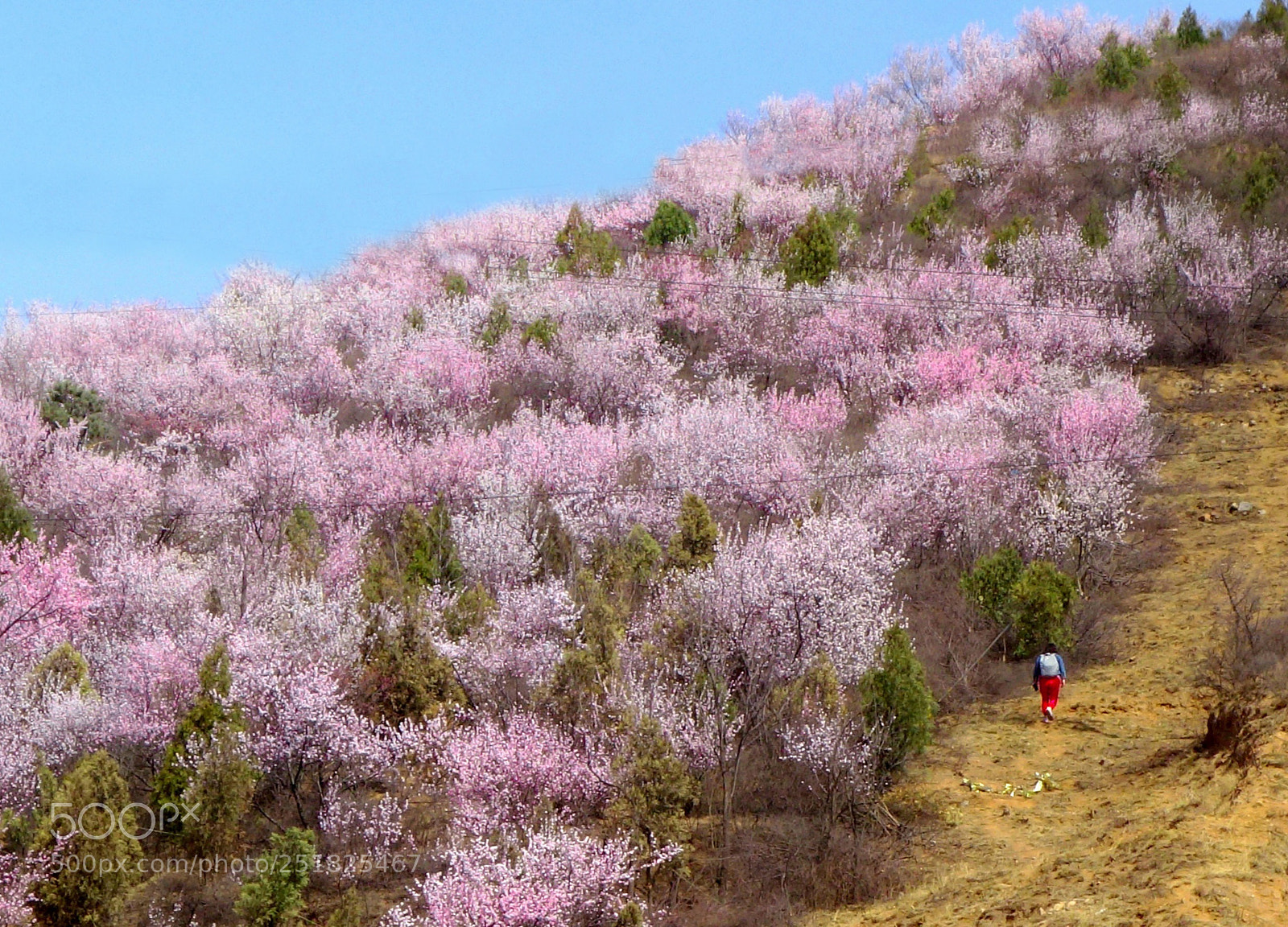 Sony Cyber-shot DSC-RX100 sample photo. Spring hike photography