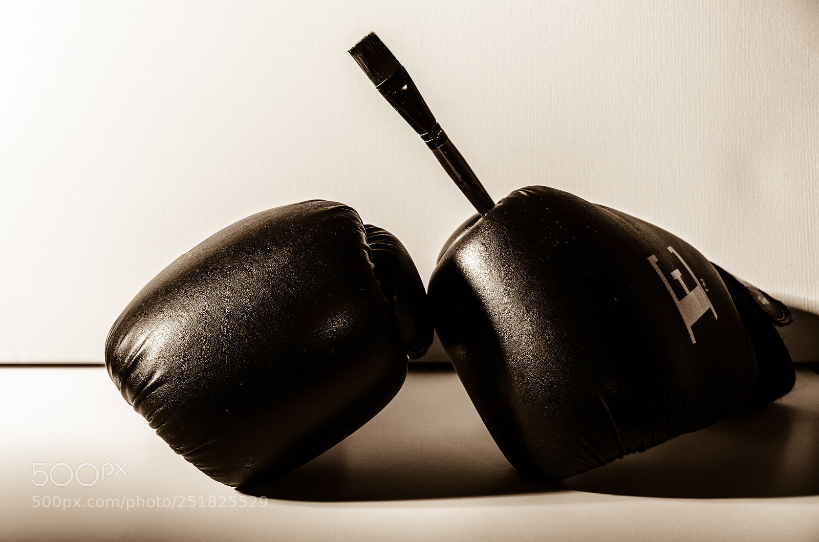 Nikon D7000 sample photo. Hit photography