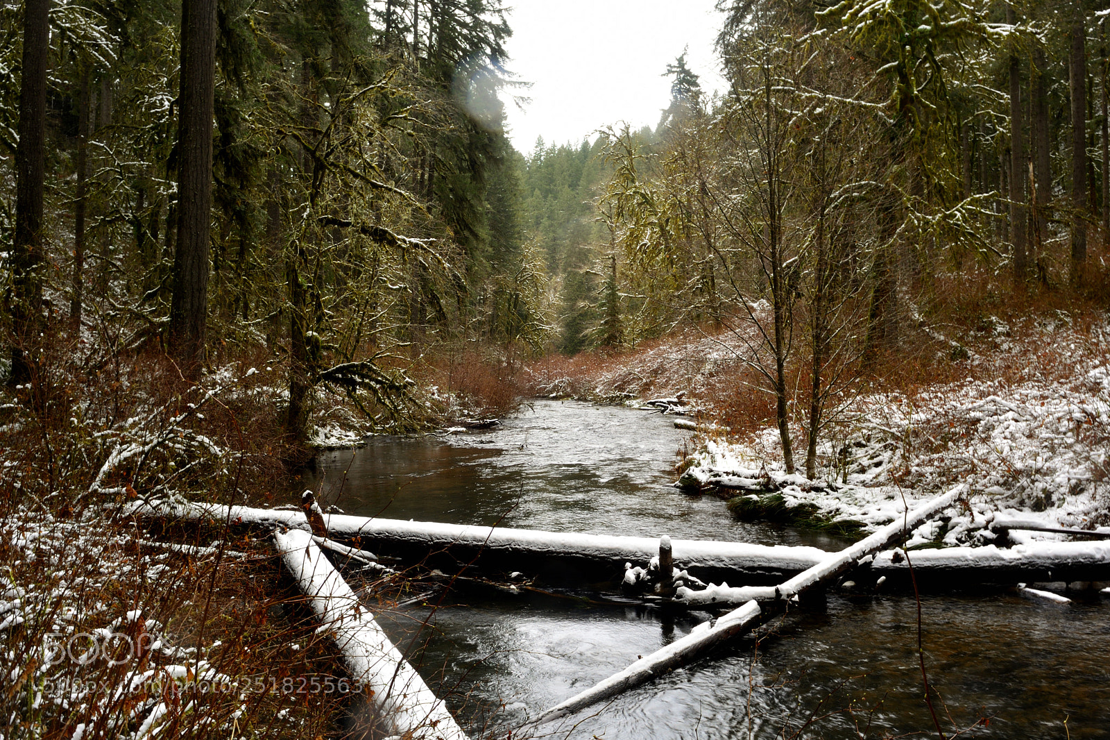 Nikon D5200 sample photo. Stream through the woods photography