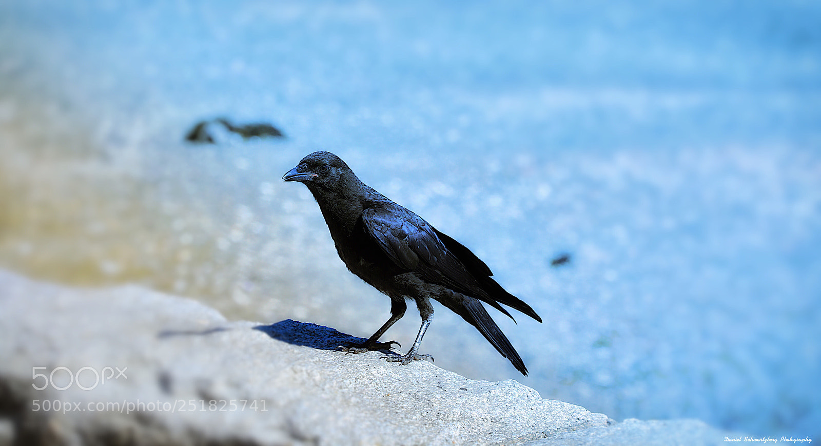 Canon EOS 5D Mark IV sample photo. Untitled photography
