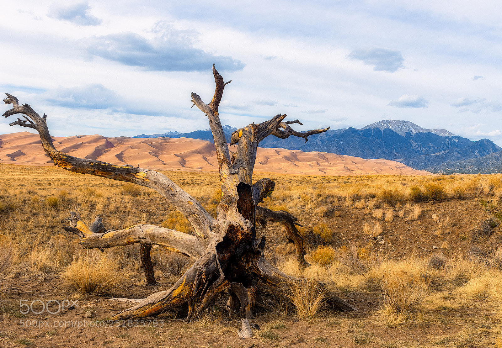Pentax K-3 sample photo. Great sand dunes photography