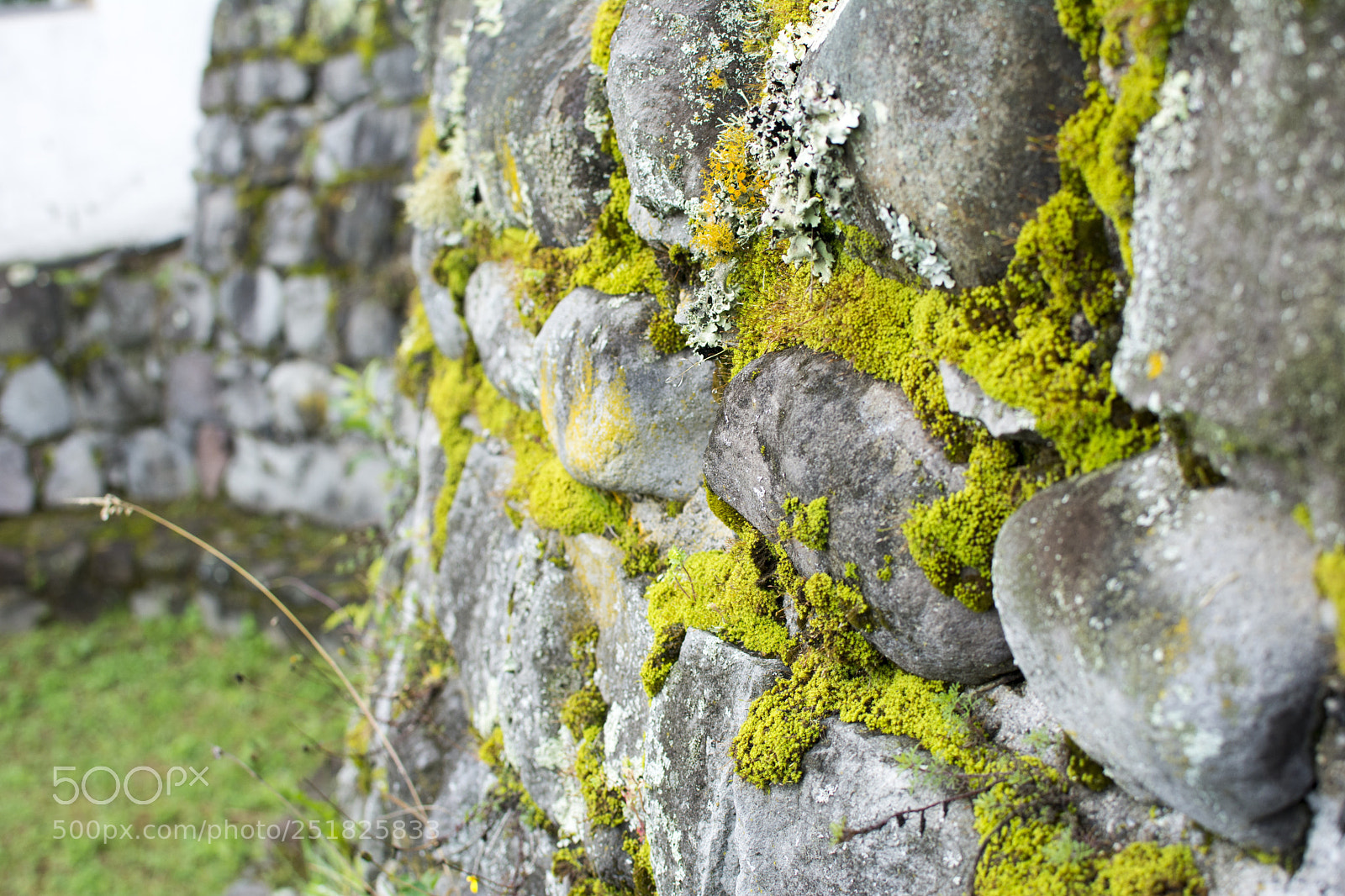 Nikon D7100 sample photo. Wall photography