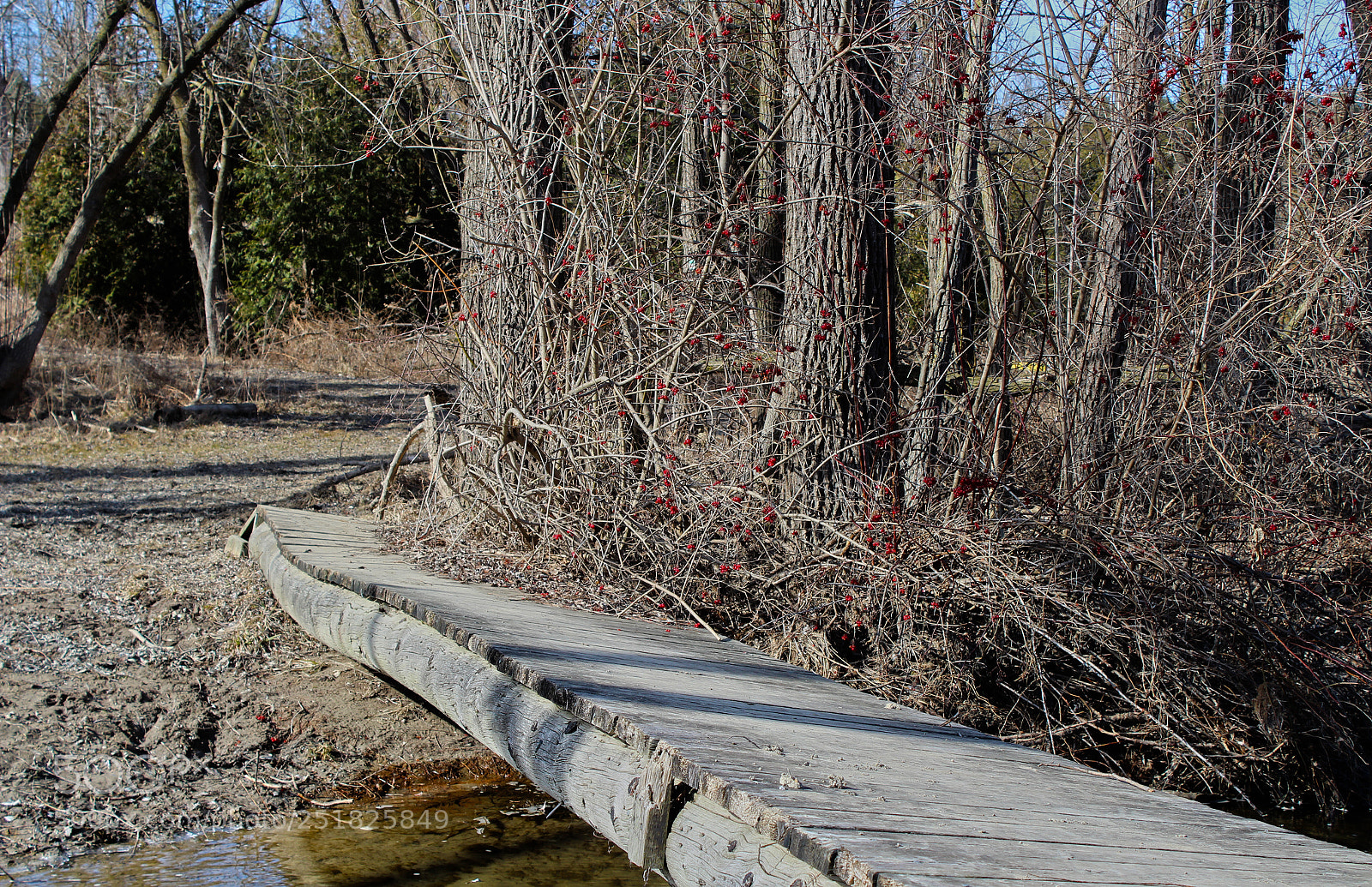 Canon EOS 1200D (EOS Rebel T5 / EOS Kiss X70 / EOS Hi) sample photo. Old bridge photography