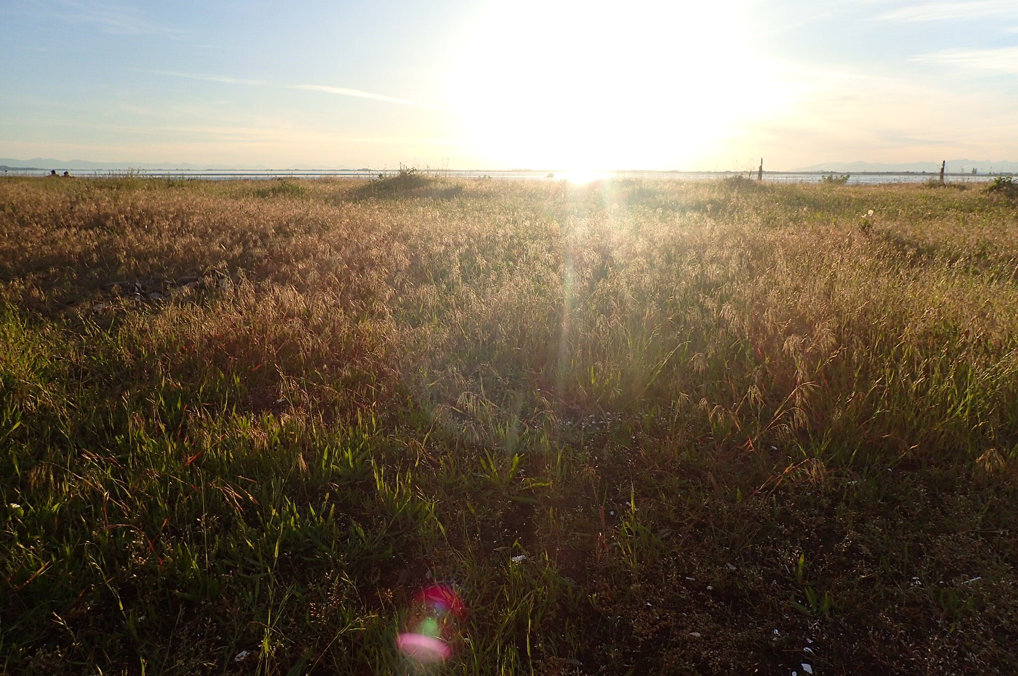 Olympus TG-3 sample photo. Blackie’s spit, white rock, sunset photography