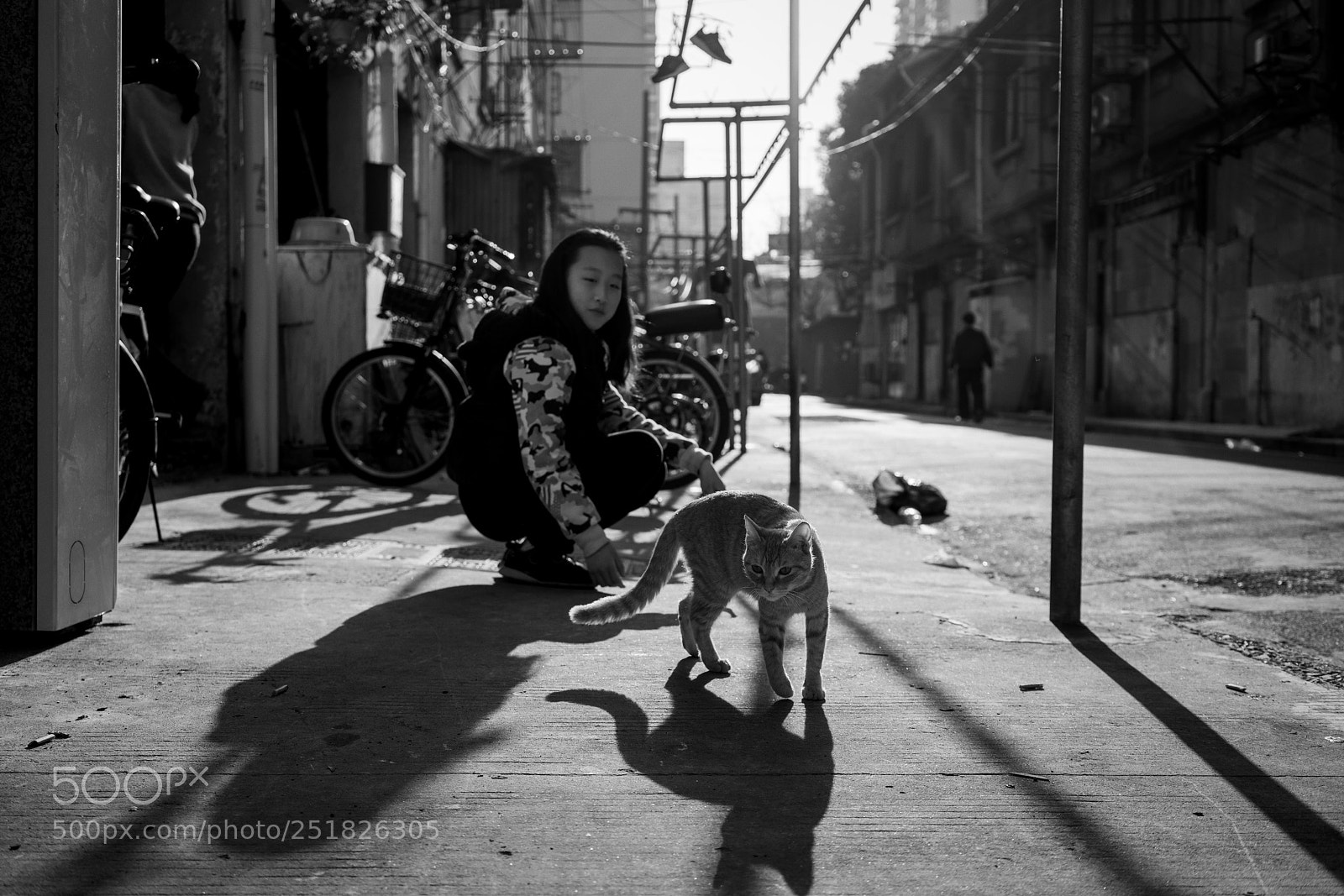 Sony a7R II sample photo. Untitled photography