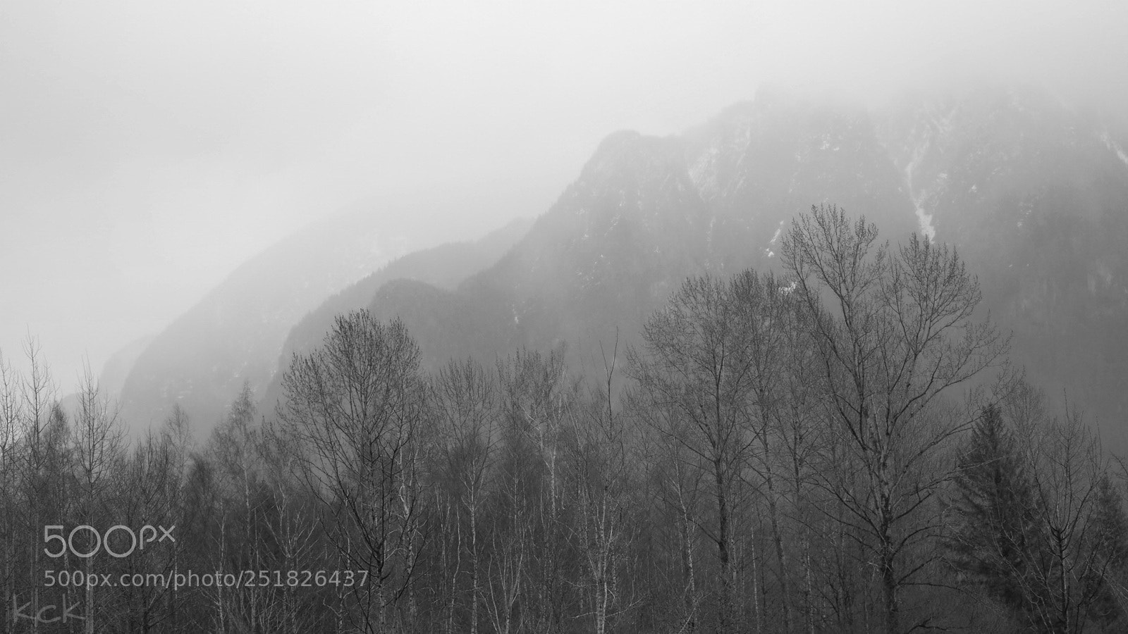 Olympus OM-D E-M10 II sample photo. Mountain mist. photography