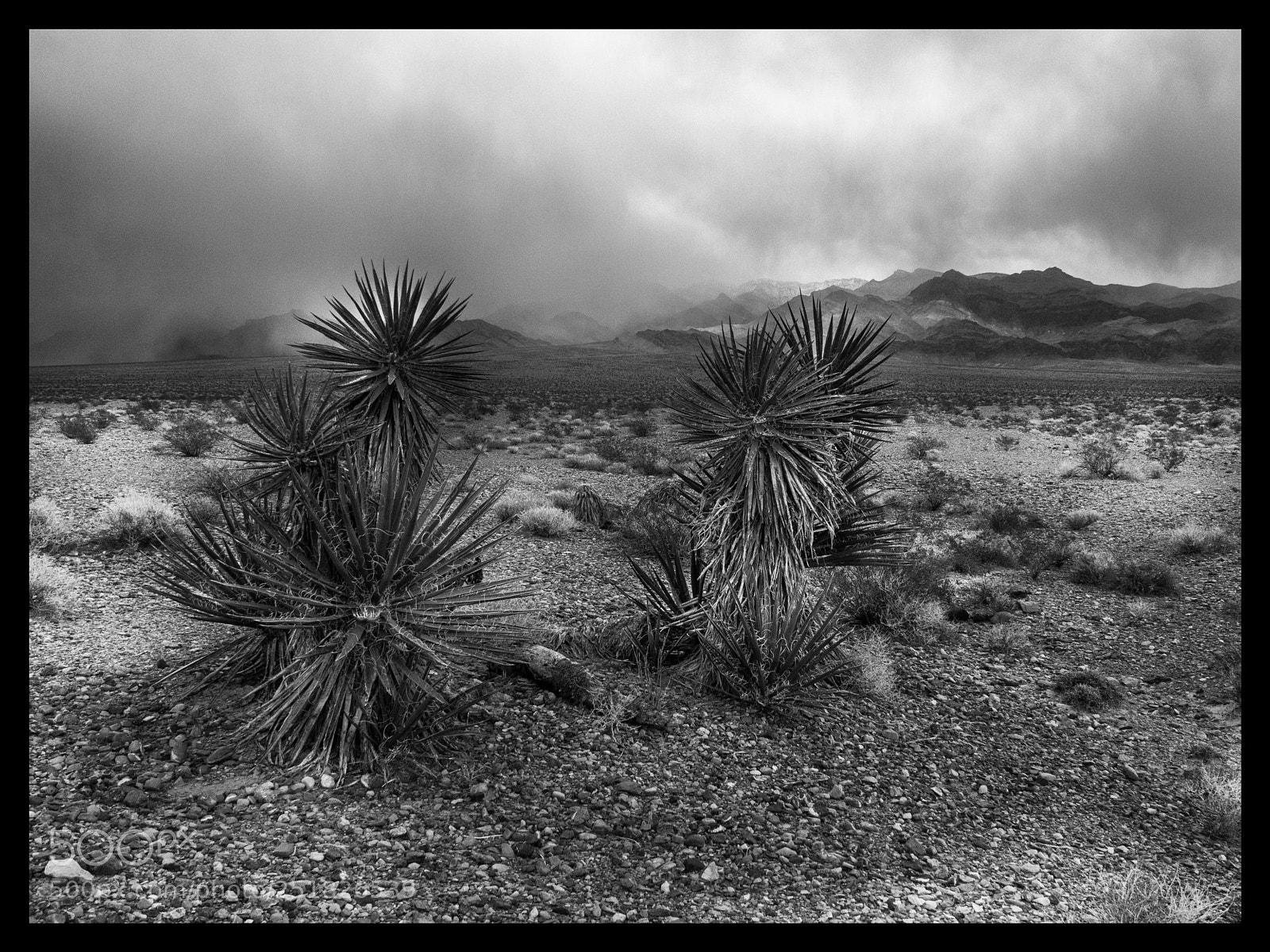 Olympus PEN E-PL7 sample photo. Nevada, usa photography