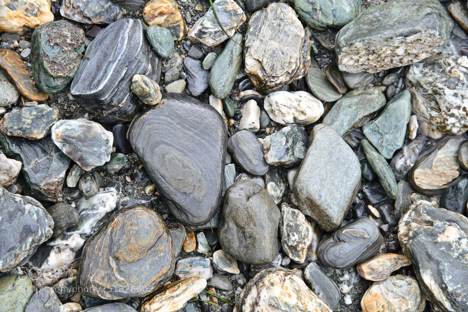 Nikon D610 sample photo. New zealand series photography