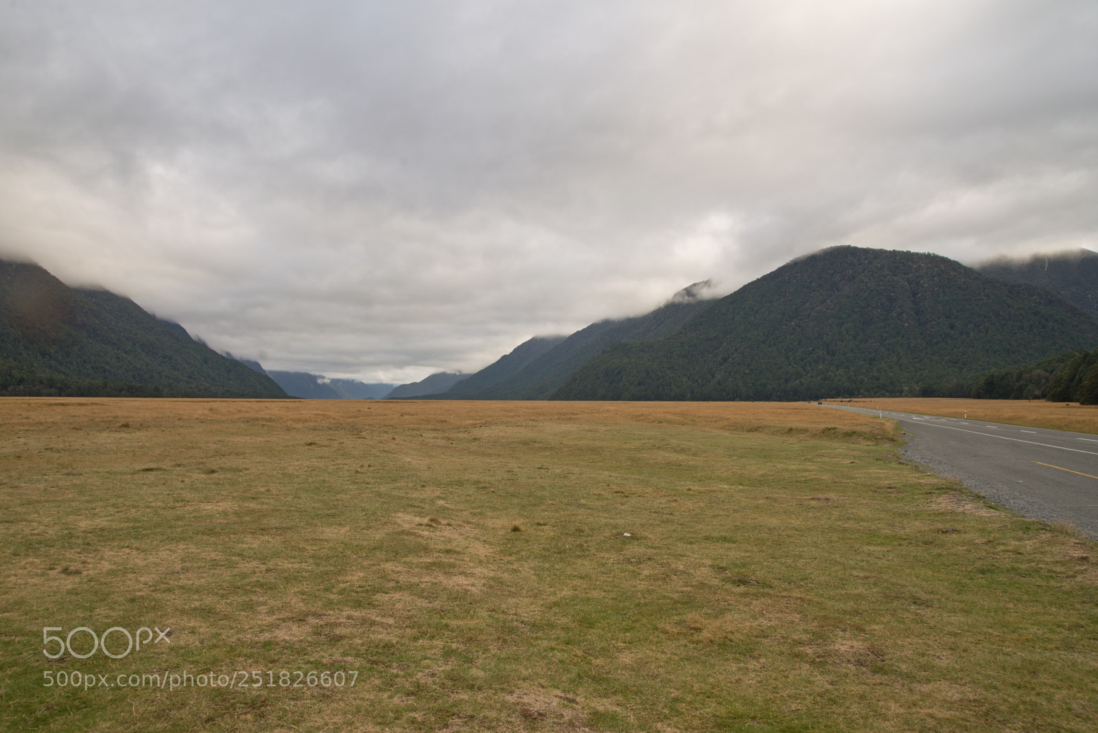 Nikon D610 sample photo. New zealand series photography