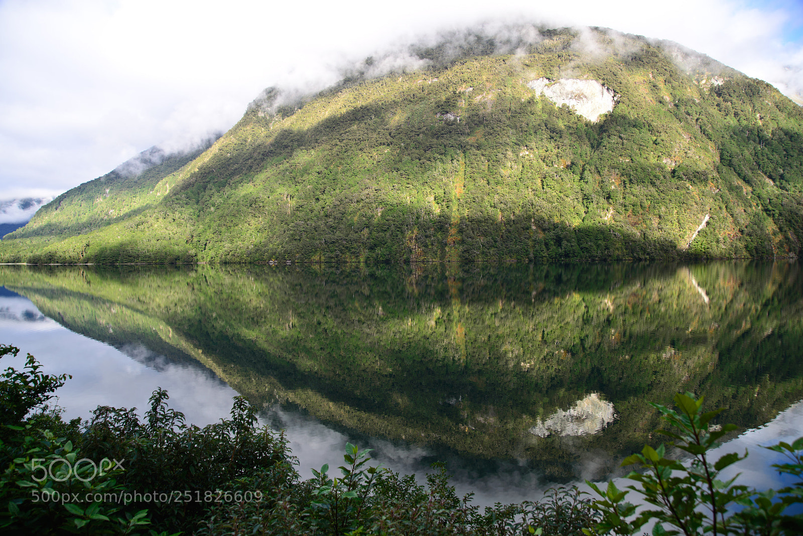 Nikon D610 sample photo. New zealand series photography