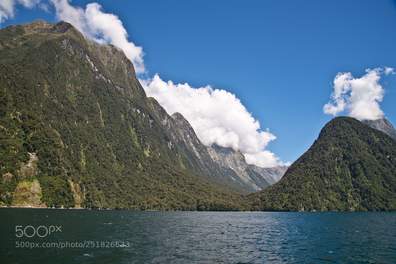 Nikon D610 sample photo. New zealand series photography