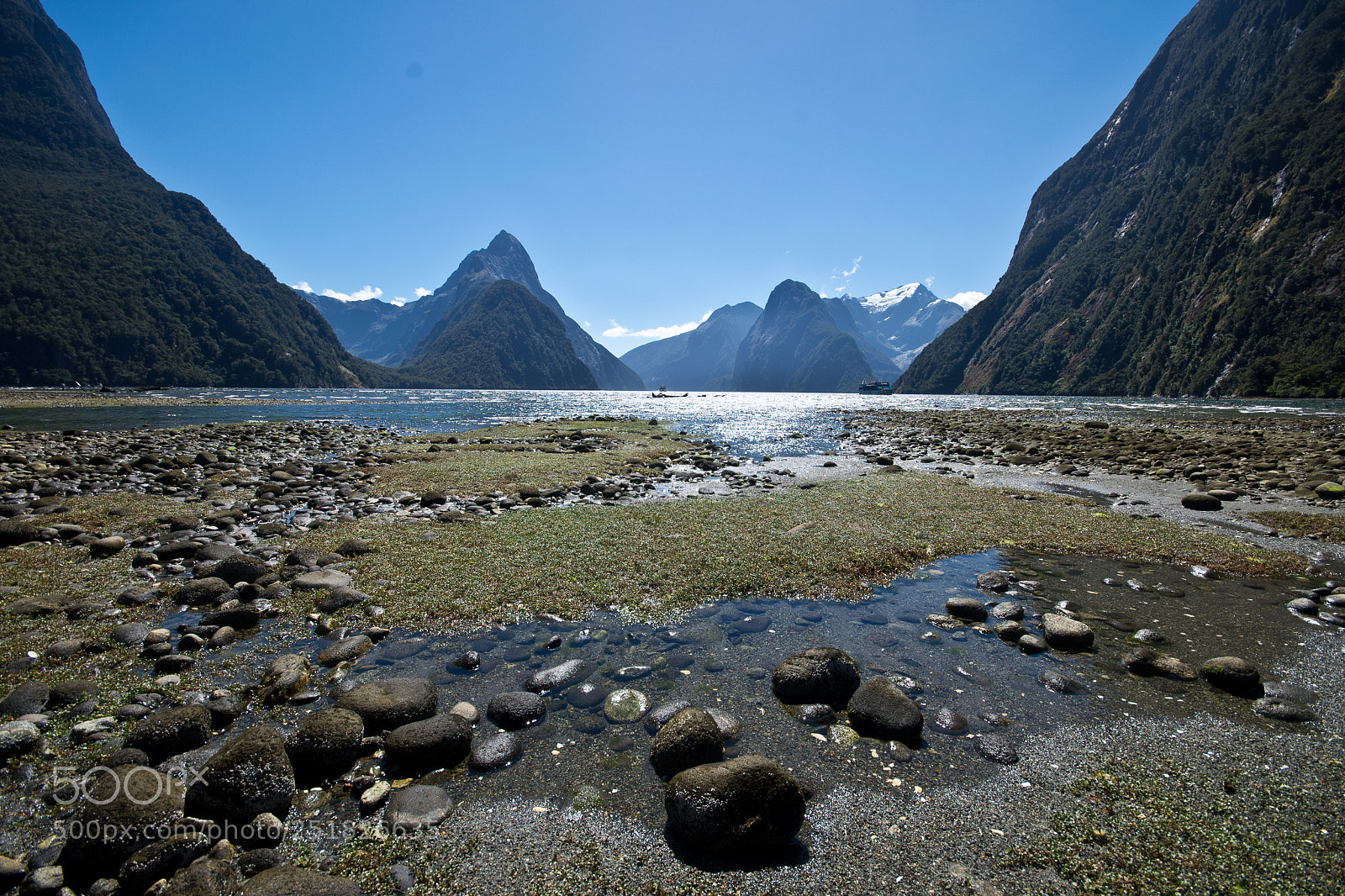 Nikon D610 sample photo. New zealand series photography