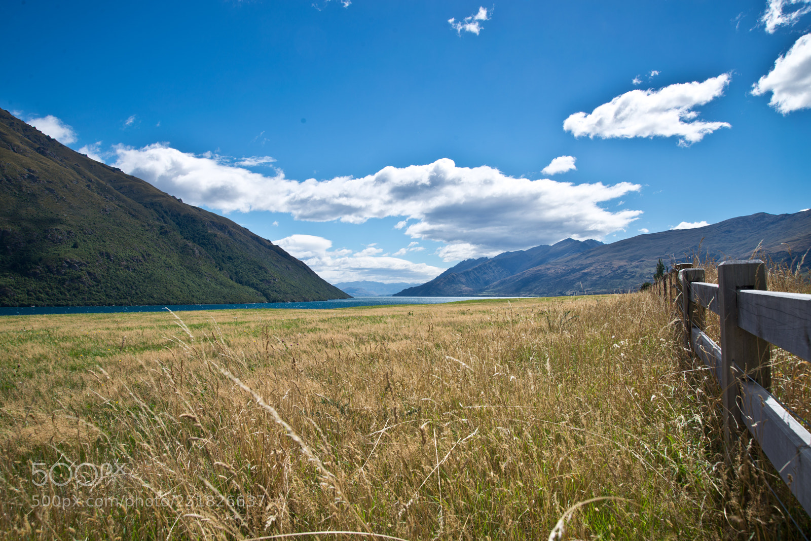 Nikon D610 sample photo. New zealand series photography